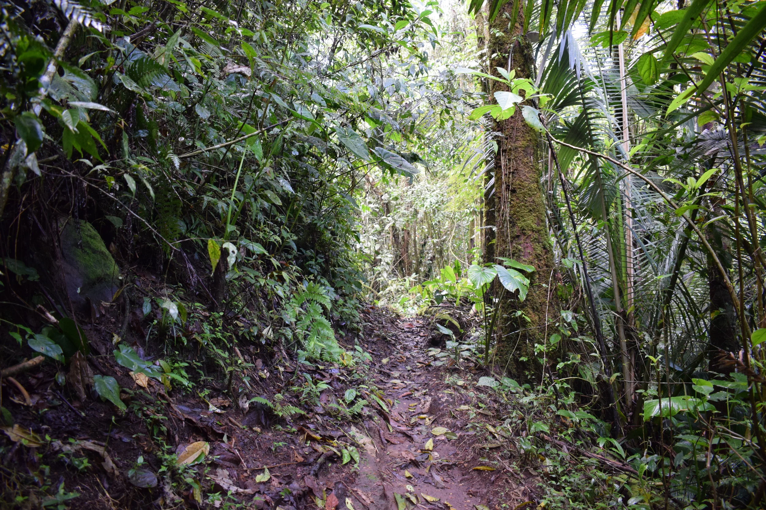hike.jpg