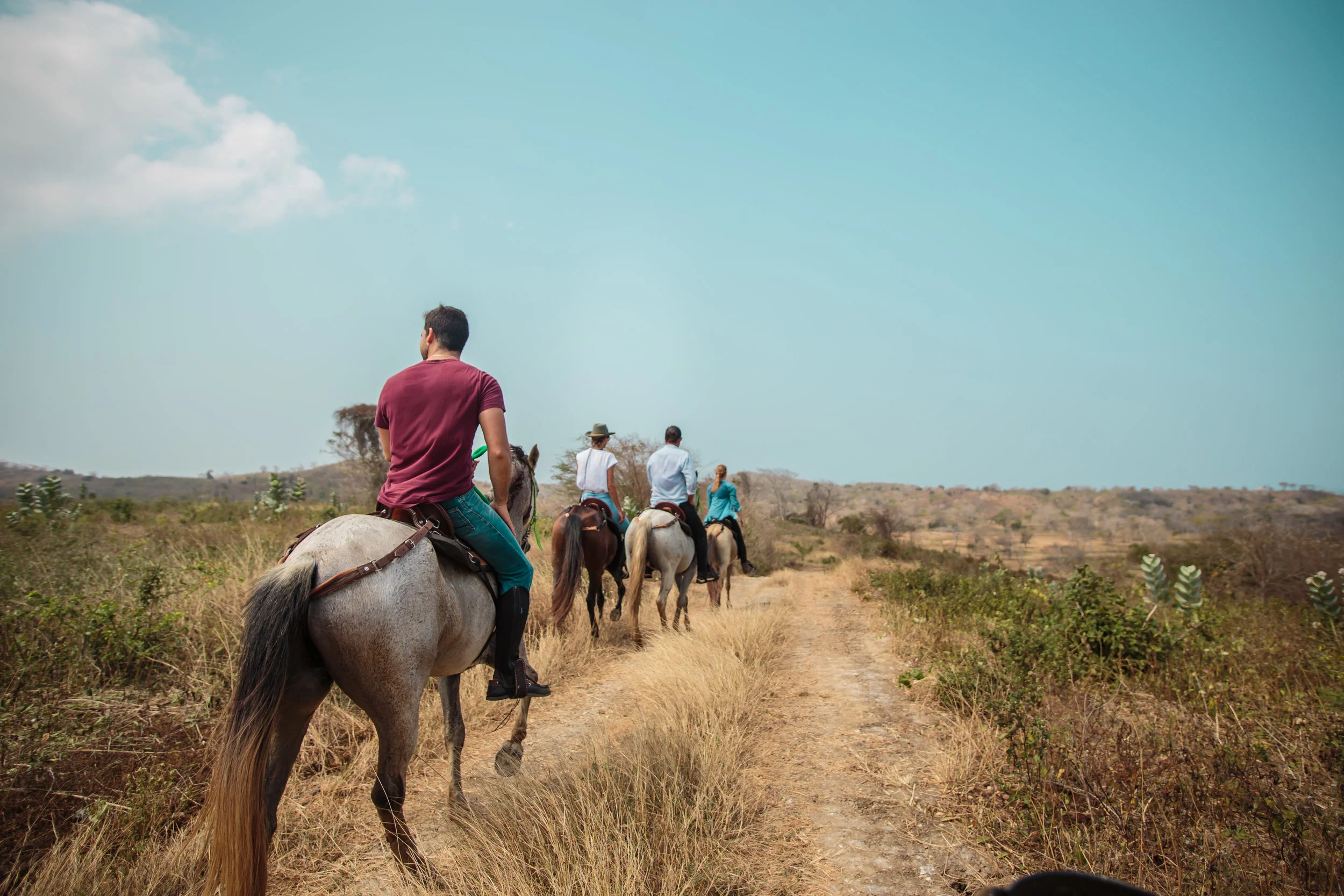 Activities_Horse Riding_Island Panorama Single File.jpg