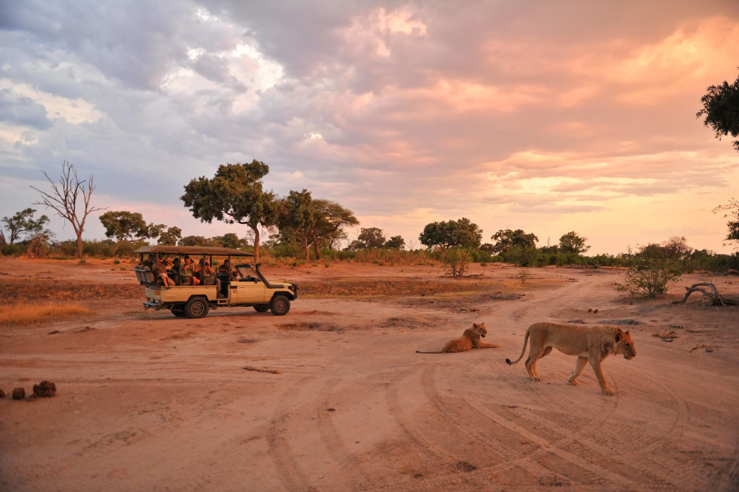 game_drive.jpg