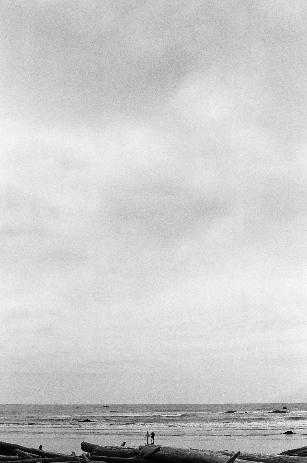 Black and white 35mm film photograph of trees and a glassy mirrored reflection on the seashore at Ruby Beach in Washington state