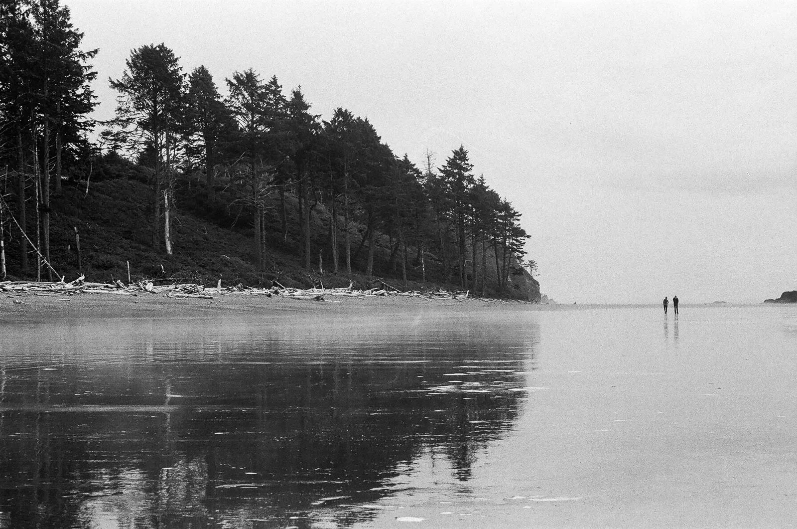 Black and white 35mm film photograph of trees and a glassy mirrored reflection on the seashore at Ruby Beach in Washington state
