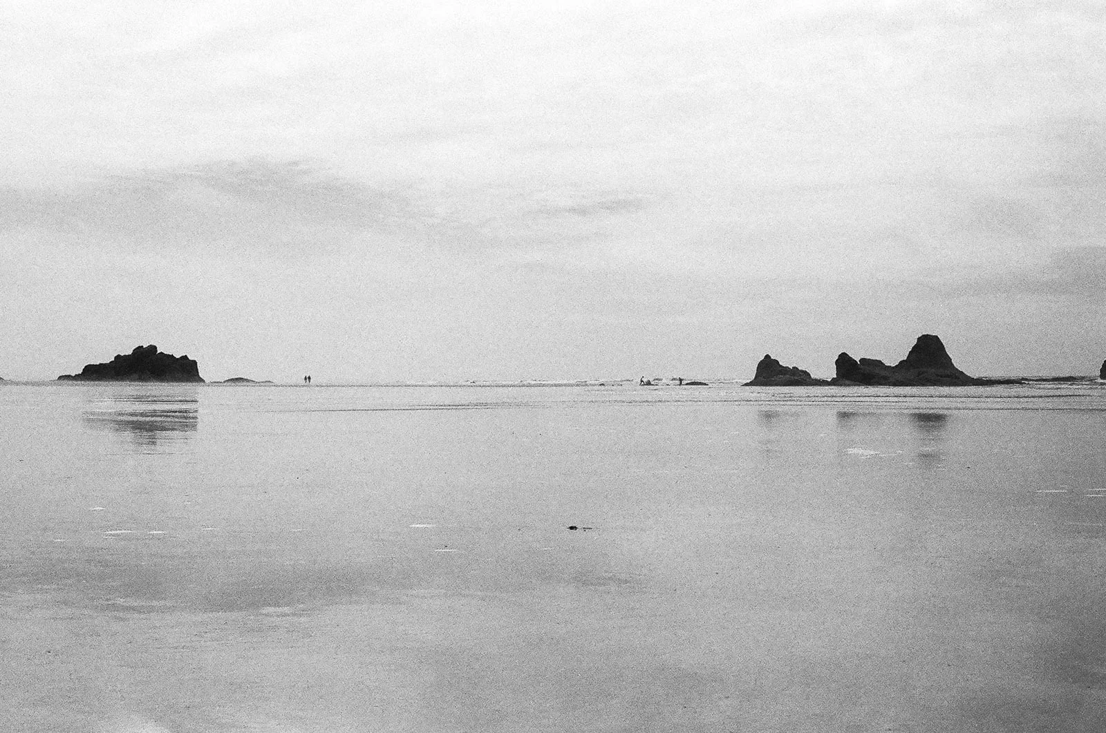 Black and white 35mm film photograph of trees and a glassy mirrored reflection on the seashore at Ruby Beach in Washington state