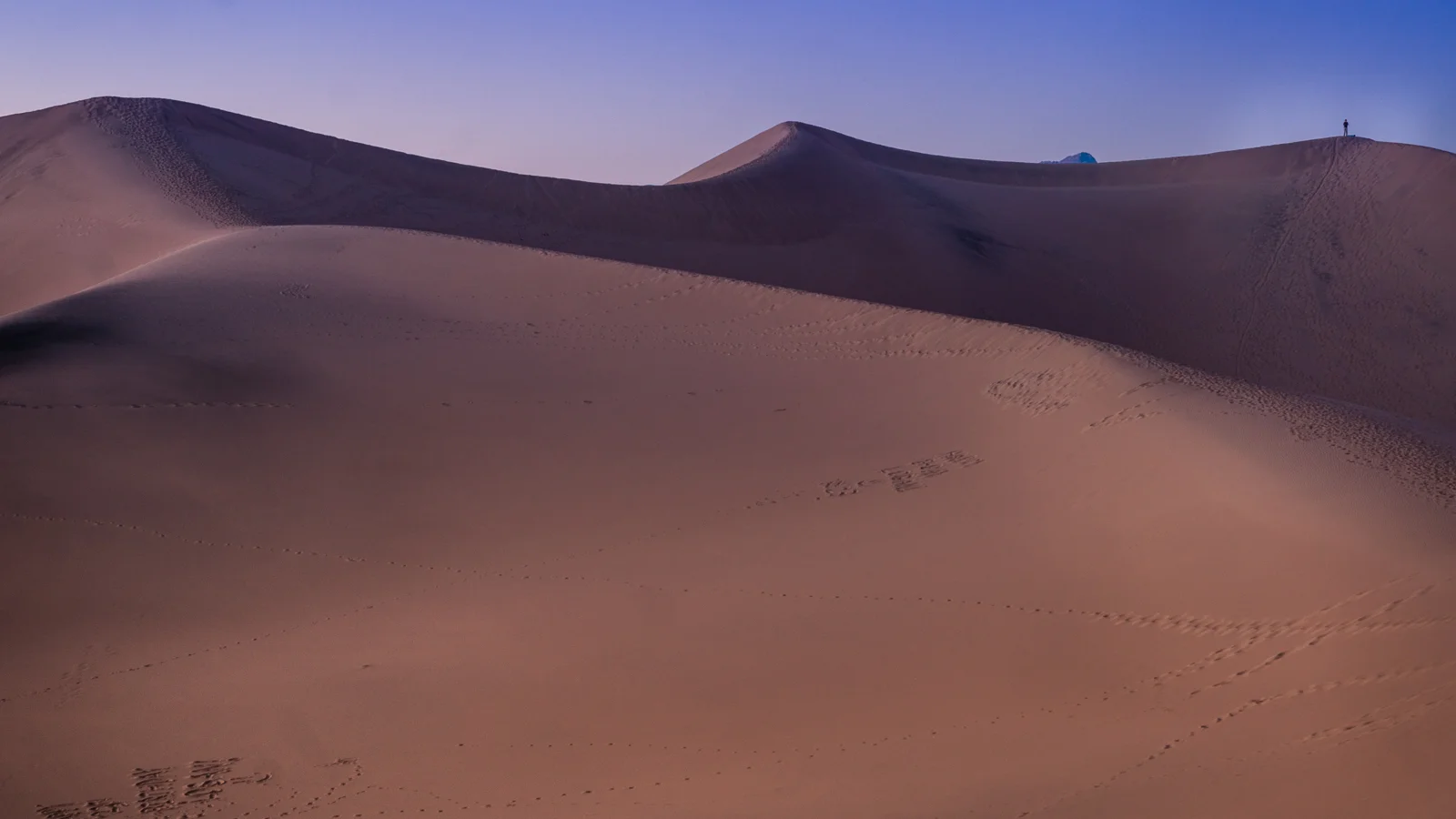 14_Death-Valley-dunes-landscape_Joseph-Barber-Studios.jpg