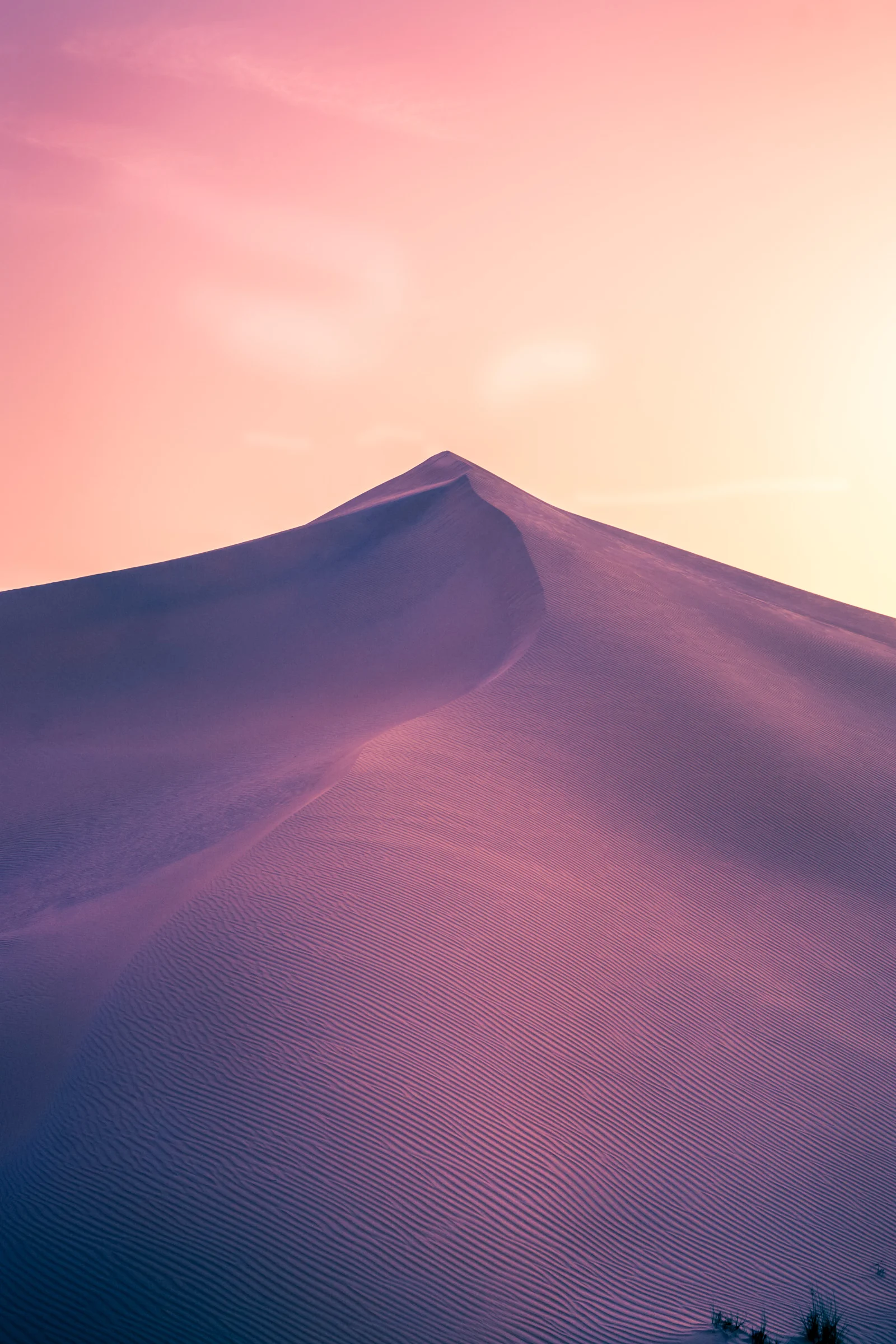 5_Arabian-desert-landscape_Joseph-Barber-Studios.jpg