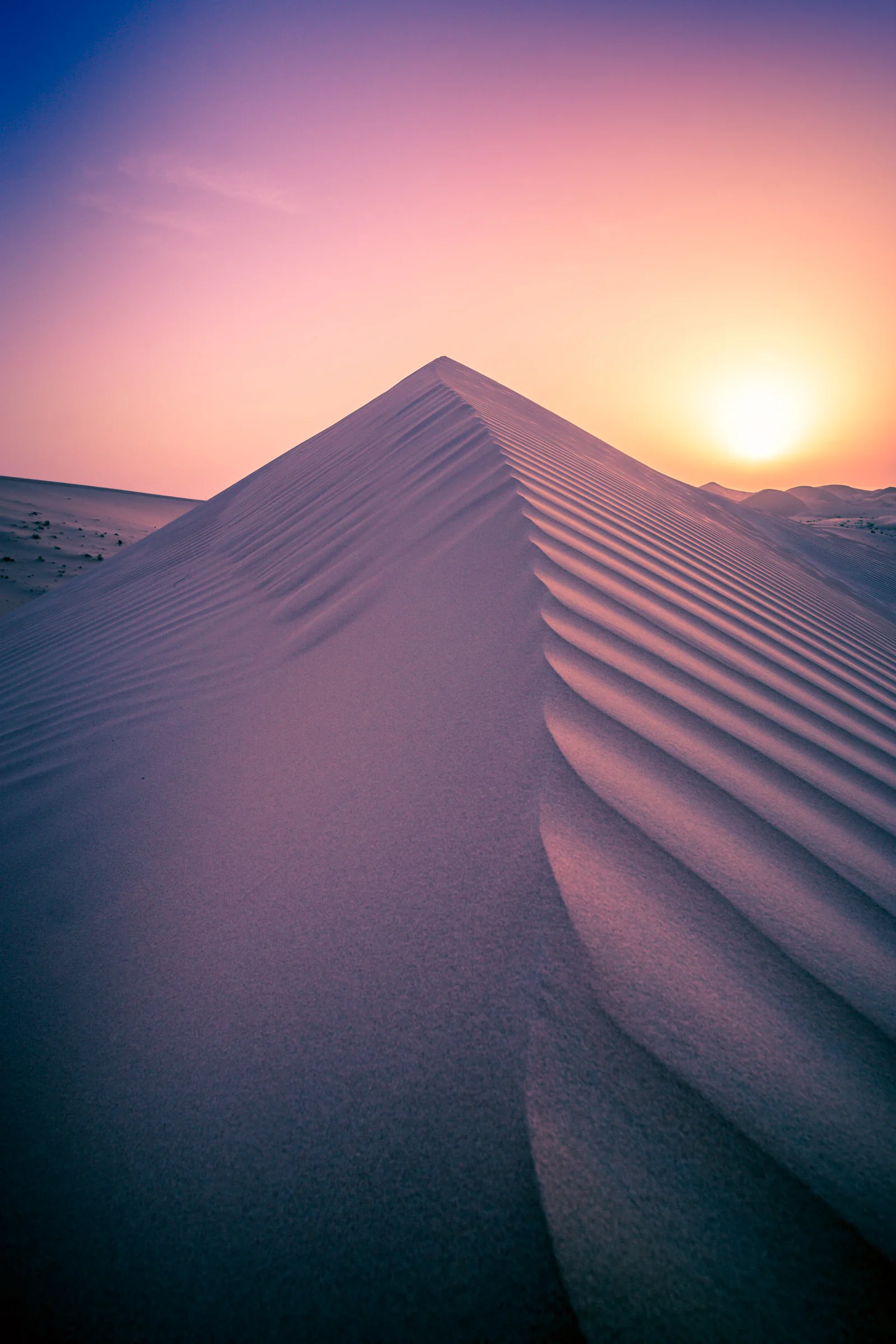11_Arabian-desert-landscape_Joseph-Barber-Studios08092.jpg
