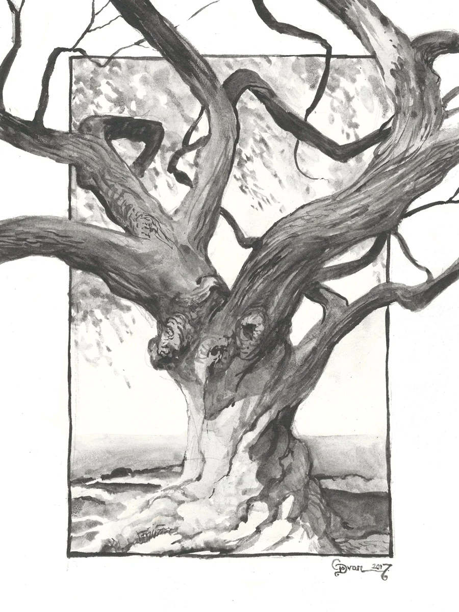 Cherry Willow - SOLD