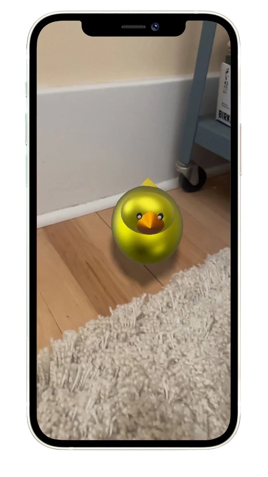 duck+copy.jpg