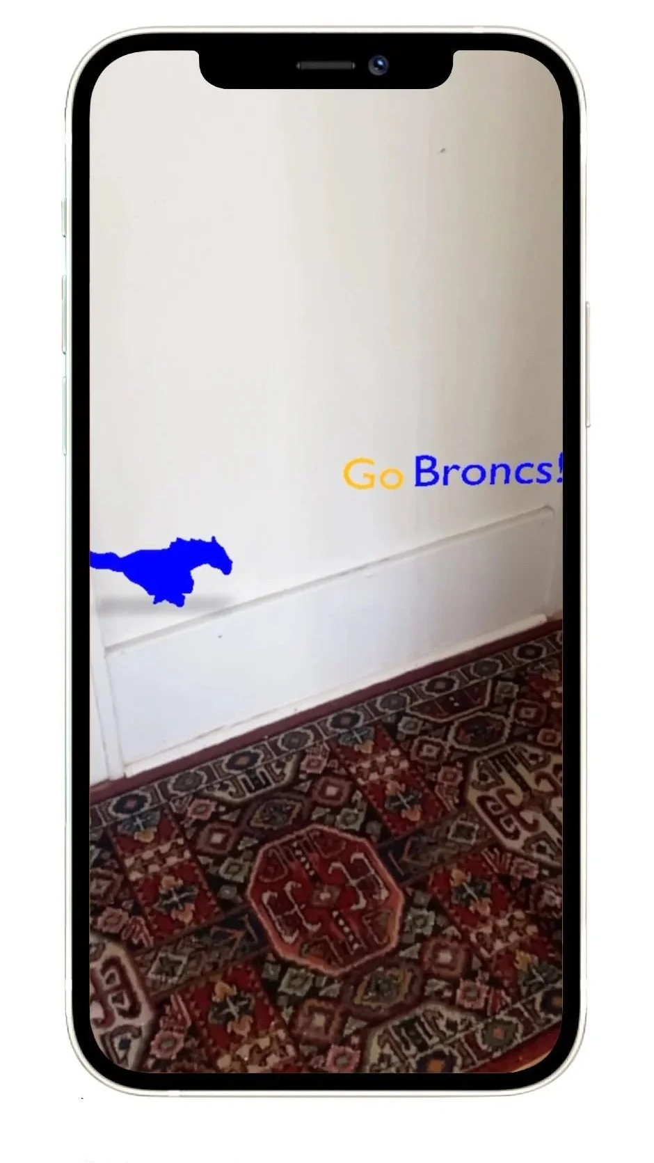 Go+broncos+copy.jpg