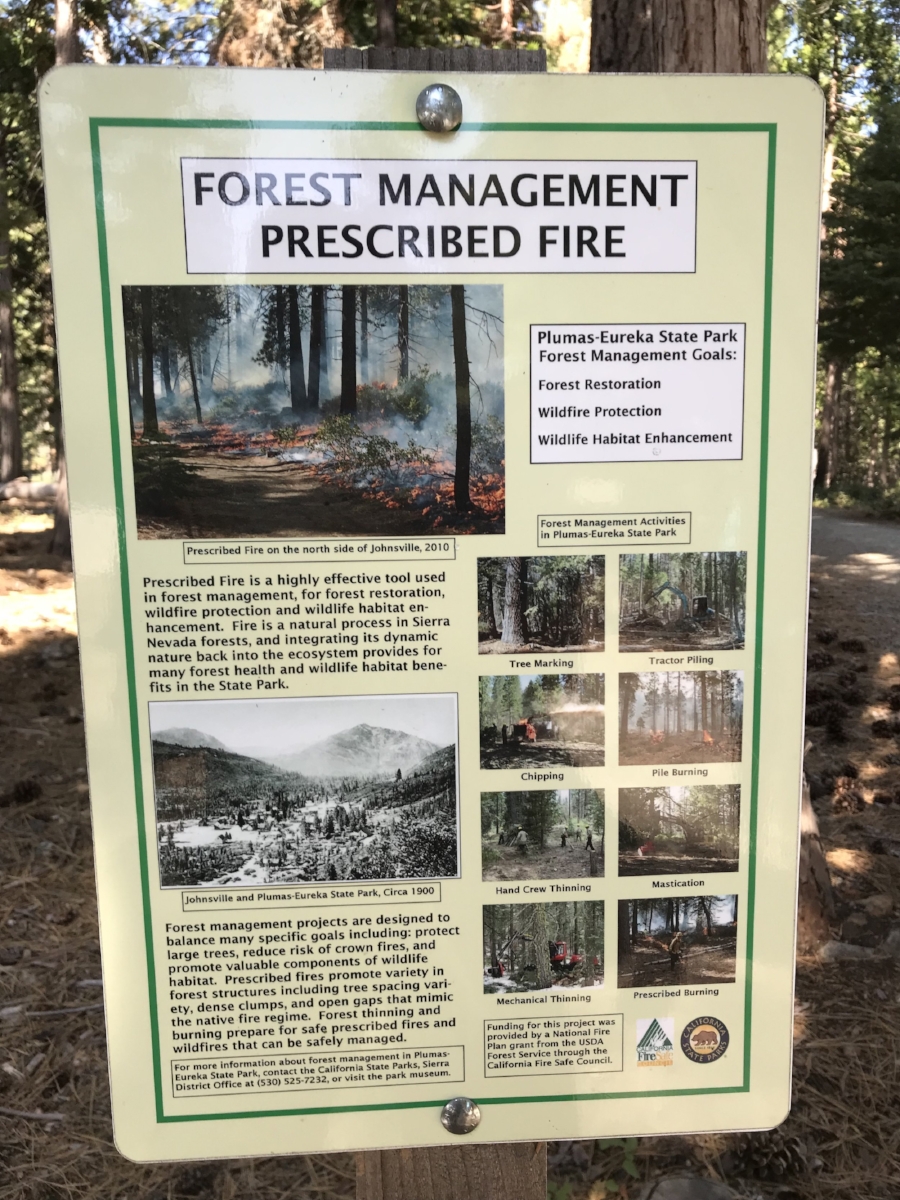 An informational sign about forest management and prescribed burns in the Plumas-Eureka State Park. Photo by Lorin Letendre