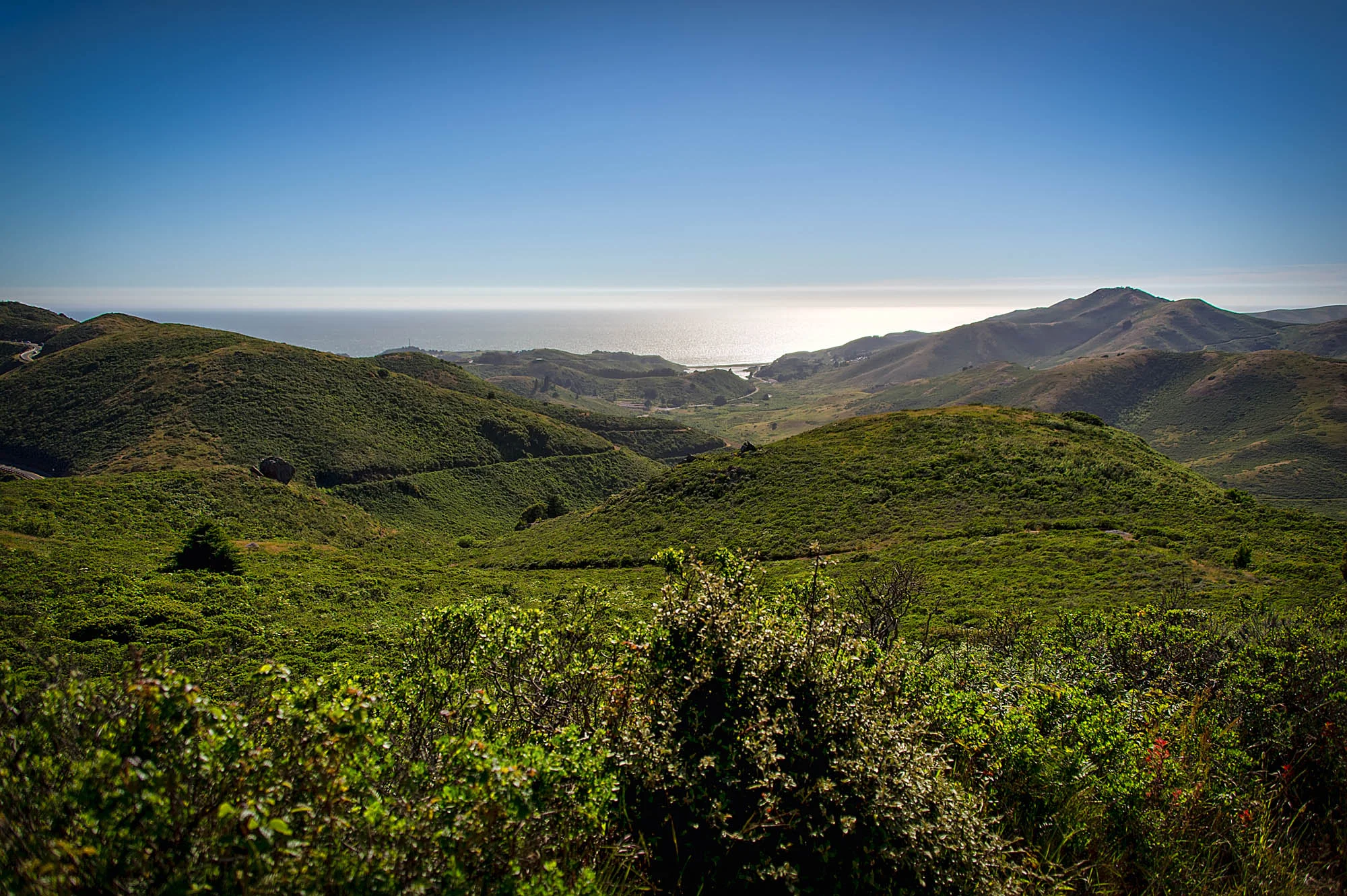 marin-to-ocean-1.jpg