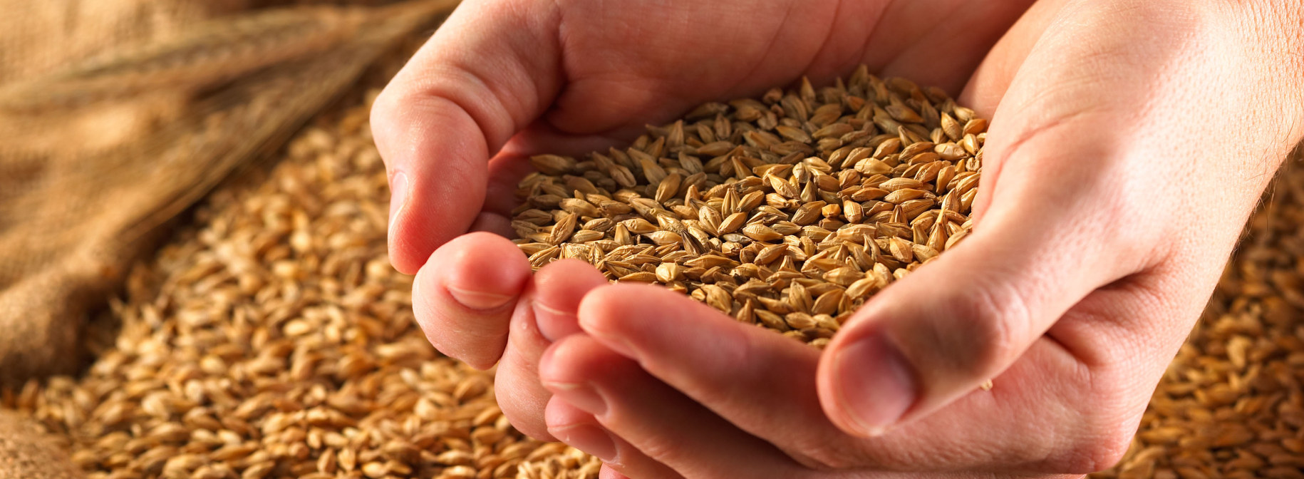 Whole Grains Are you eating enough whole grains? Learn how to make these hearty options a part of your daily diet.