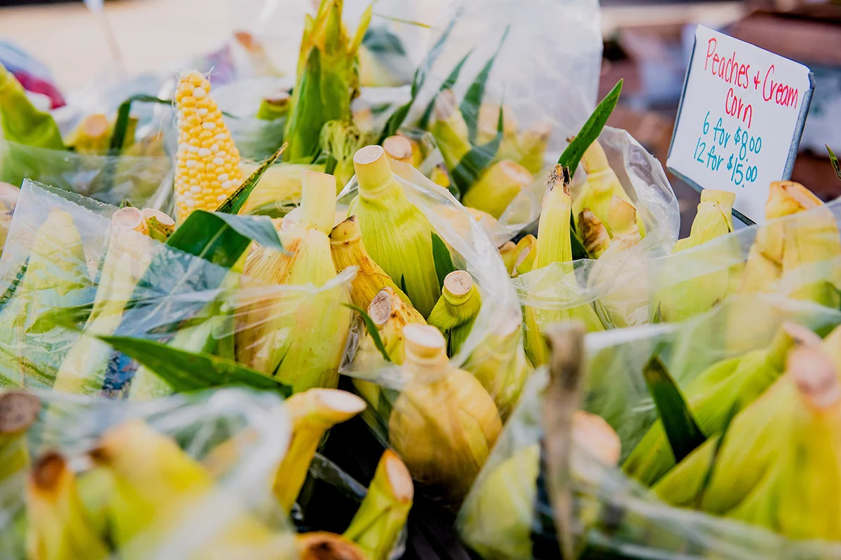 Outdoor Market in Sherwood Park - October 2 