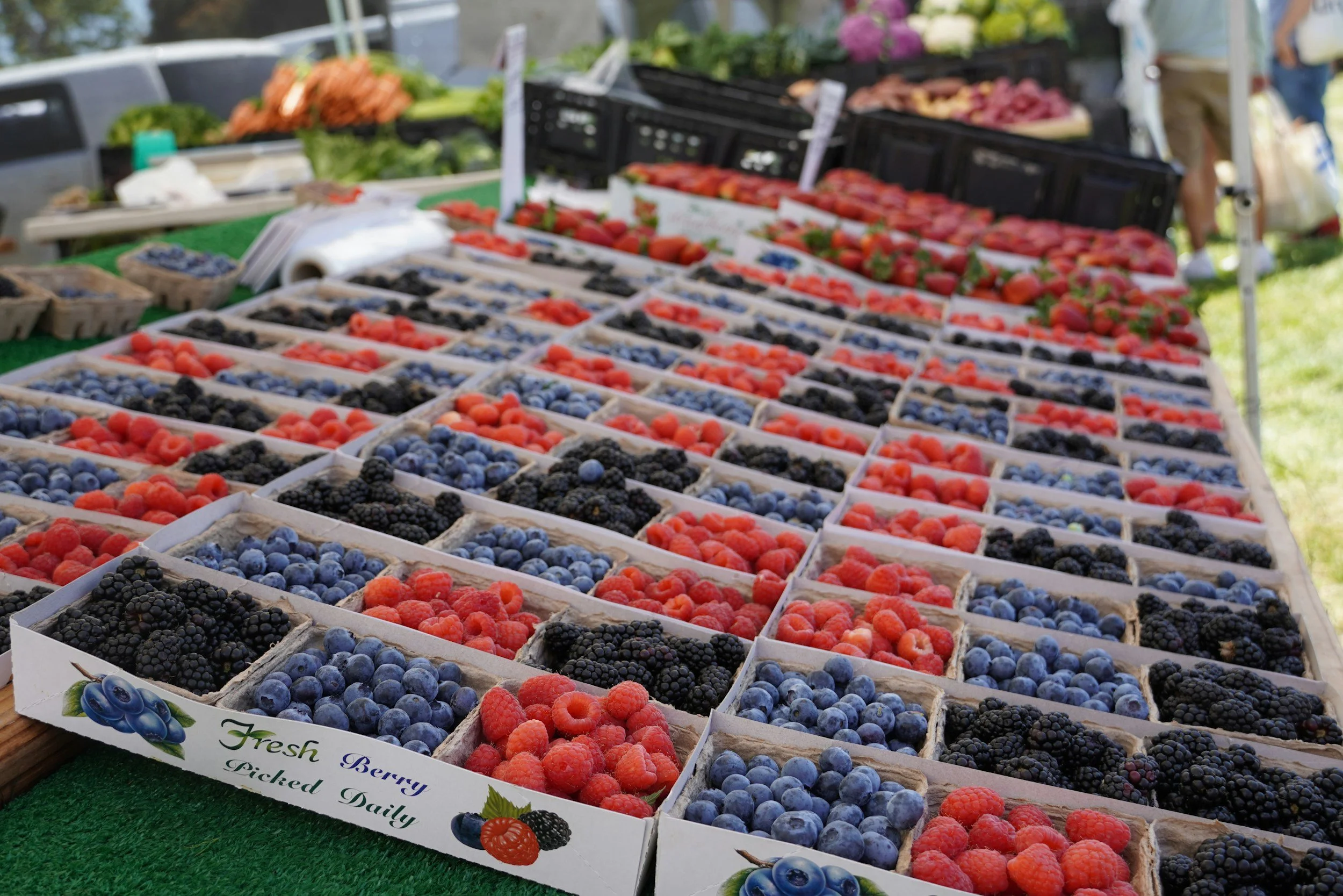 A market stall displaying trays of fresh blueberries, blackberries, and raspberries with a sign that reads 'Fresh Berry Picked Daily.'