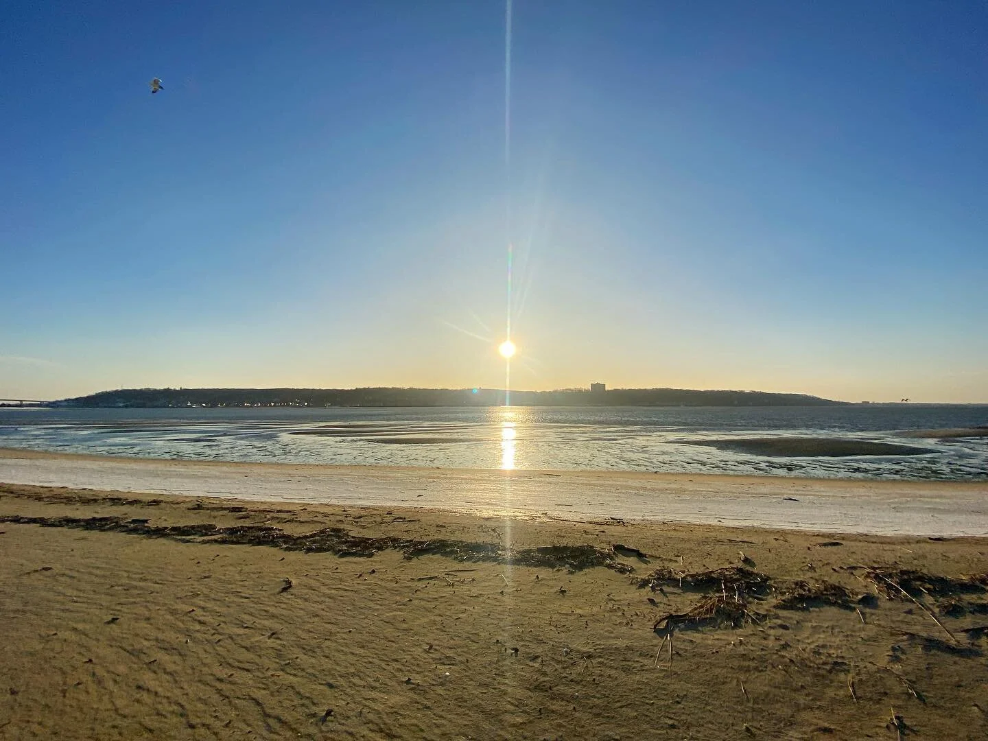 🎄☀️🌊❄️