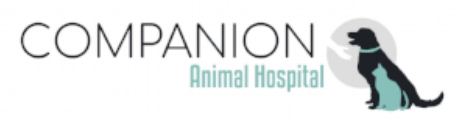 Companion Animal Hospital