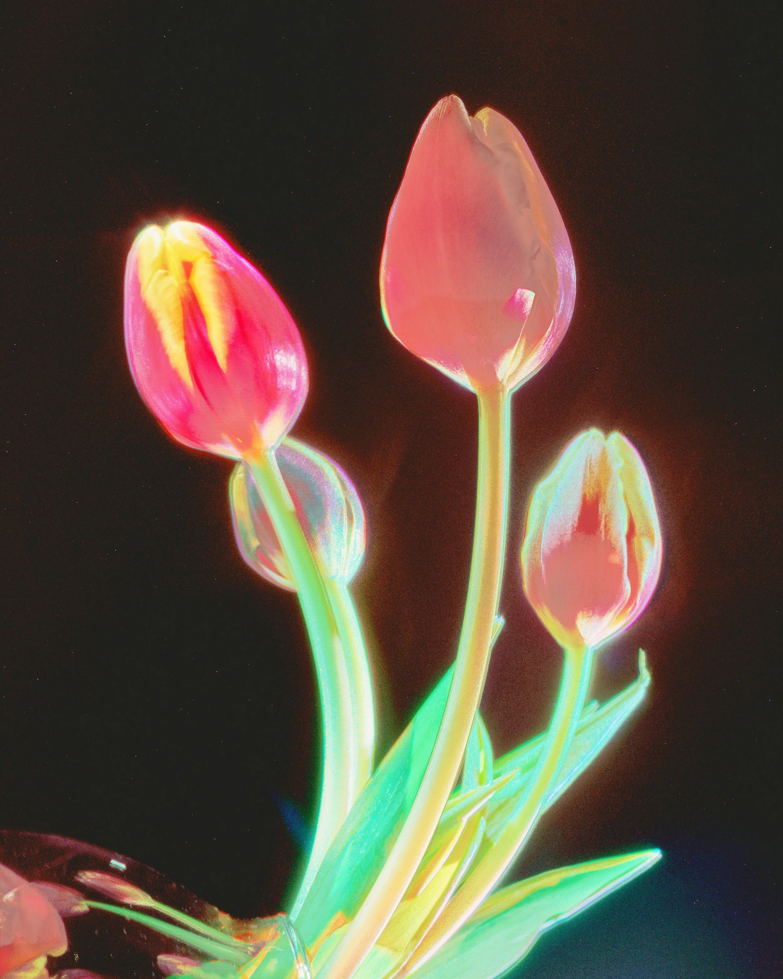 _DSC2841_PSMS SMALLER.jpg