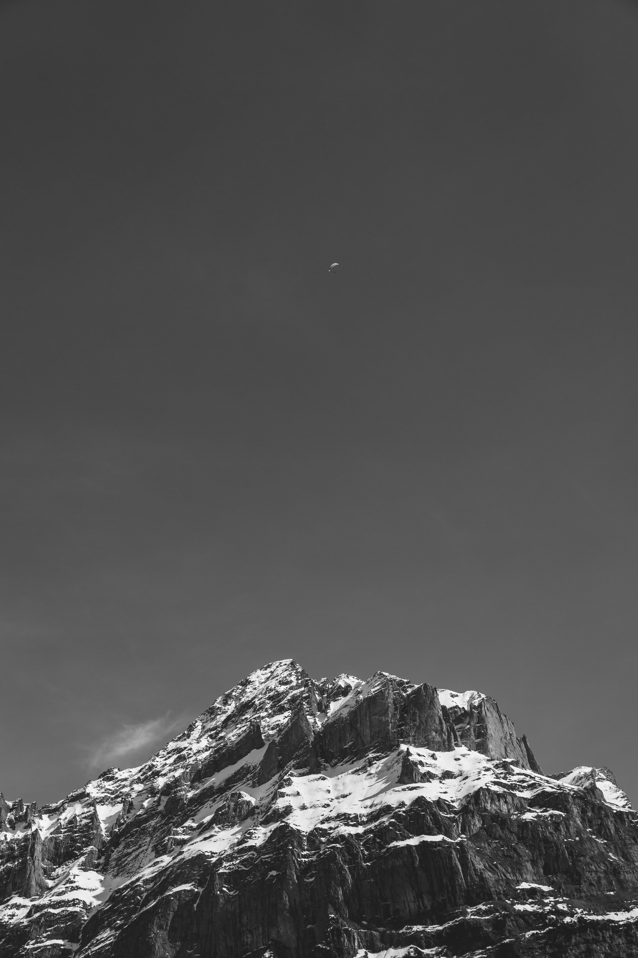 4O4A7825.jpg