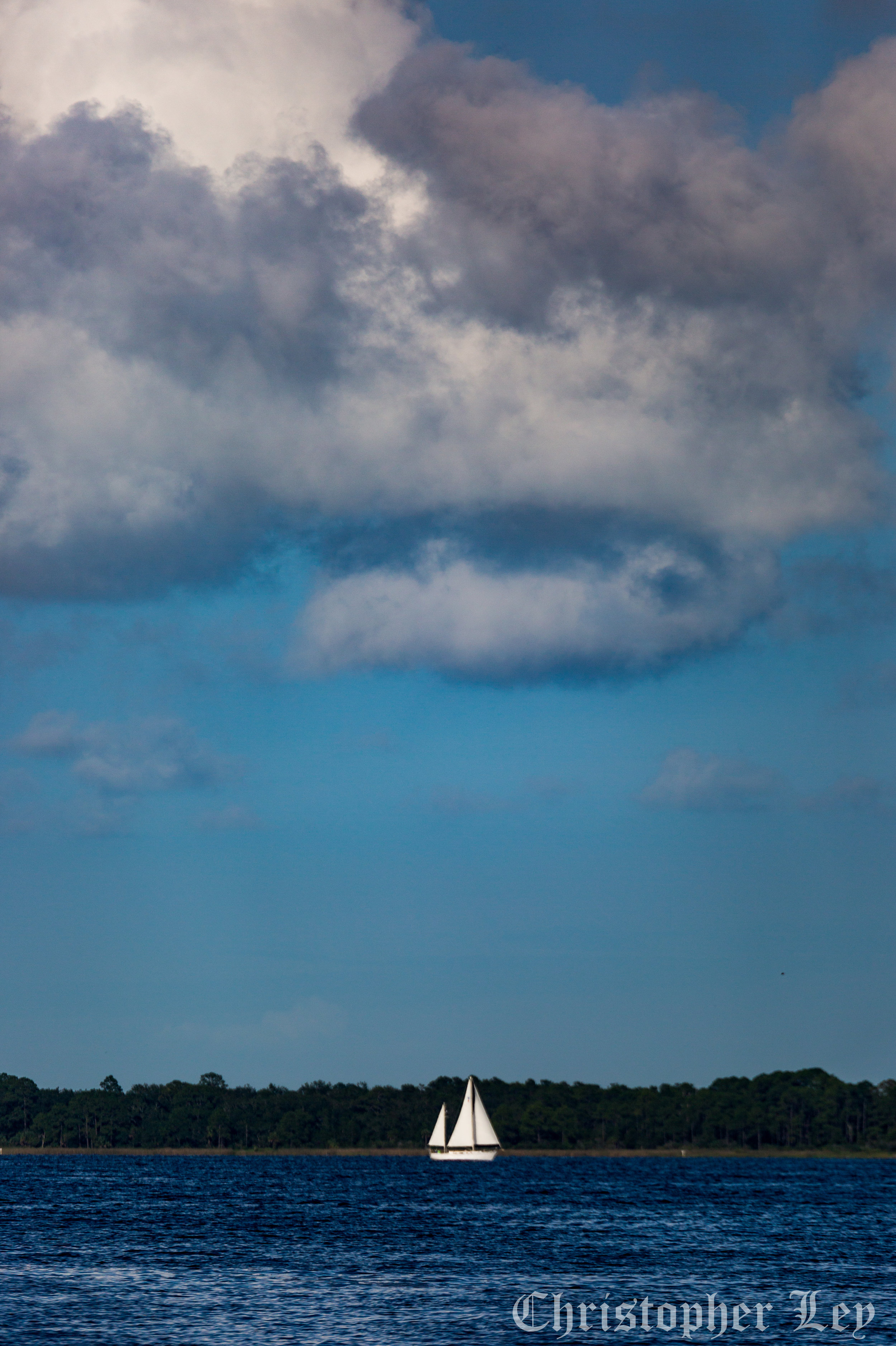 4O4A7819.jpg