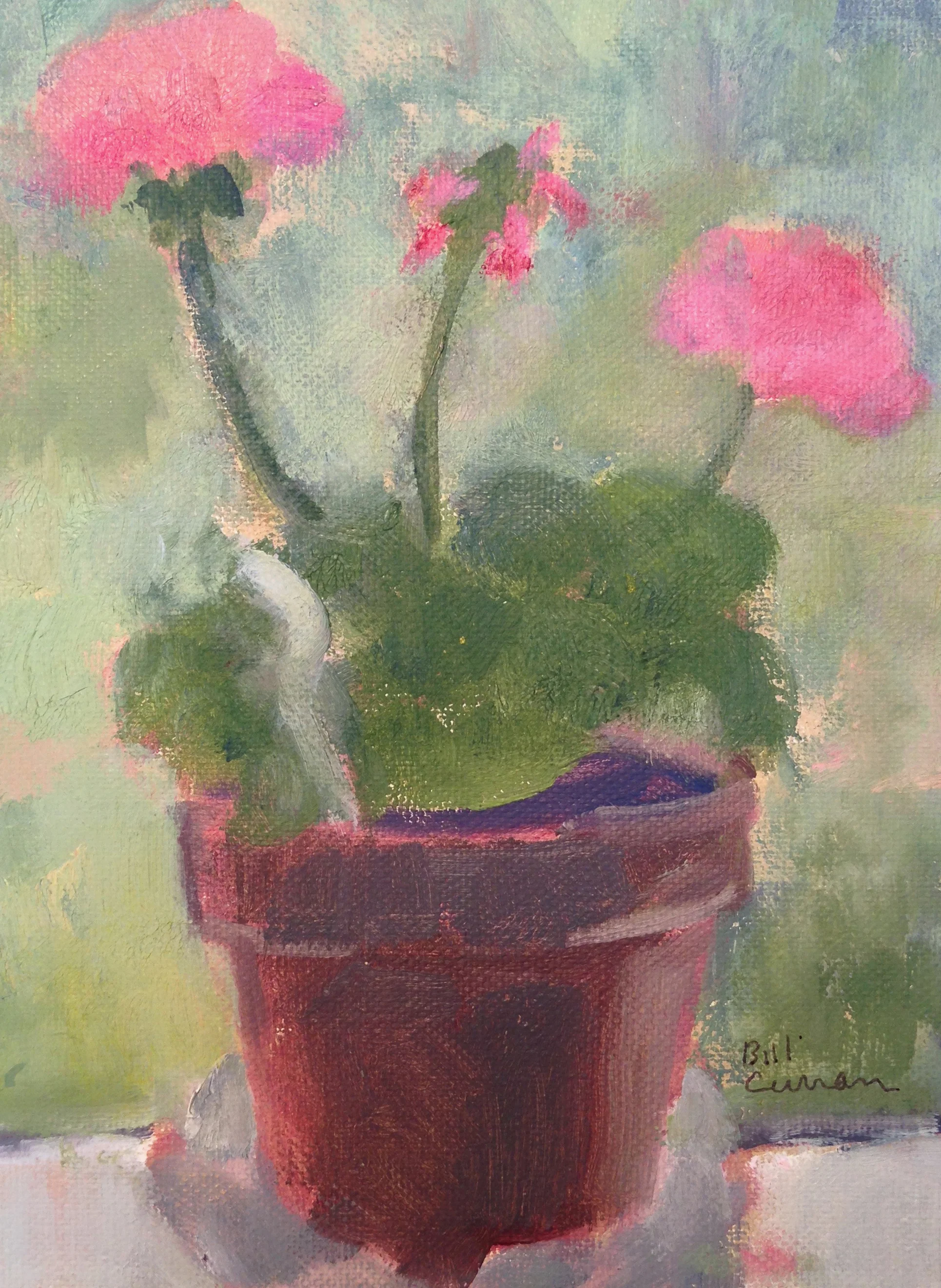 Geraniums.jpg