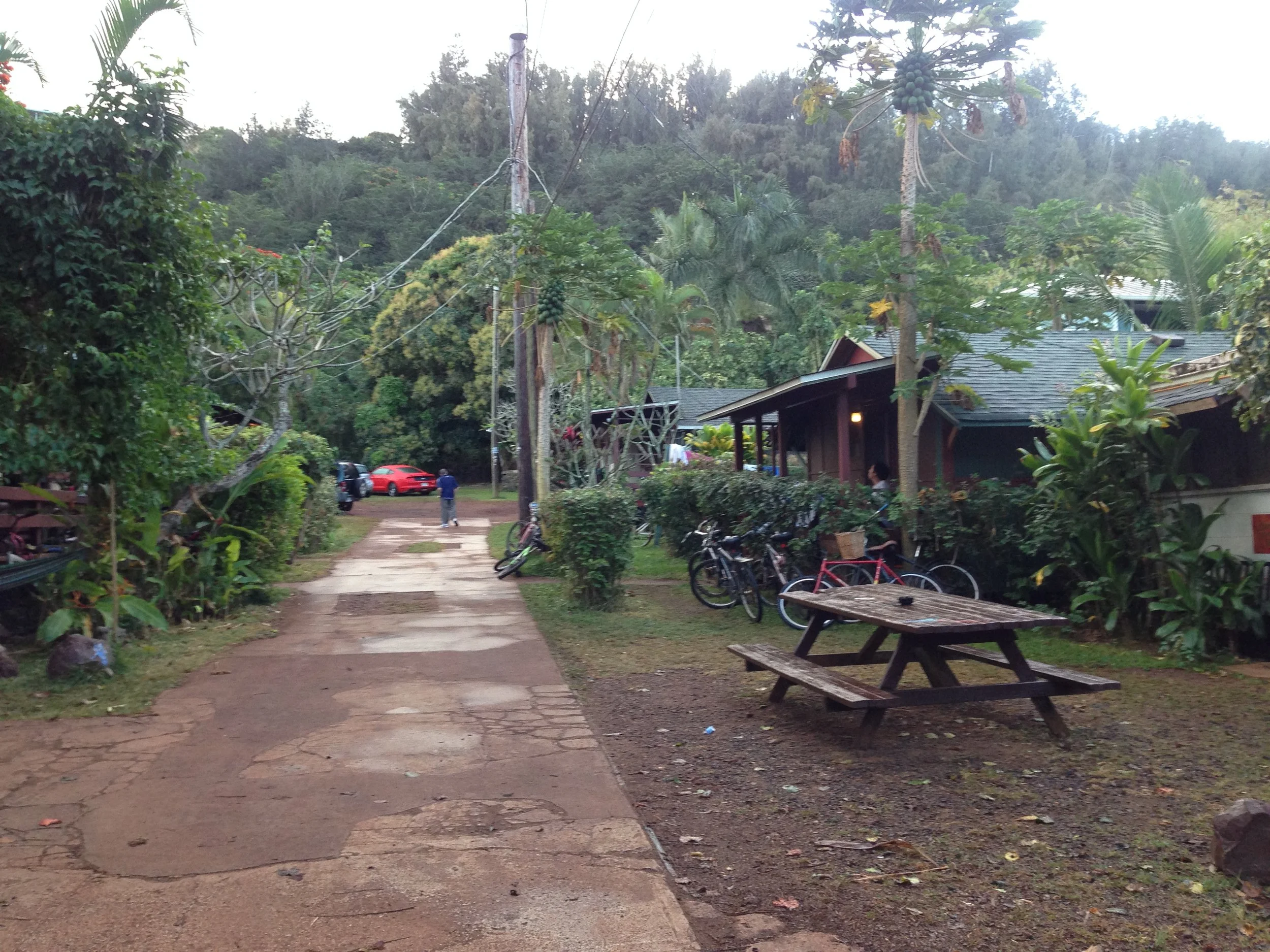 Backpackers Hawaii on the North Shore in Oahu was the opposite of a party hostel
