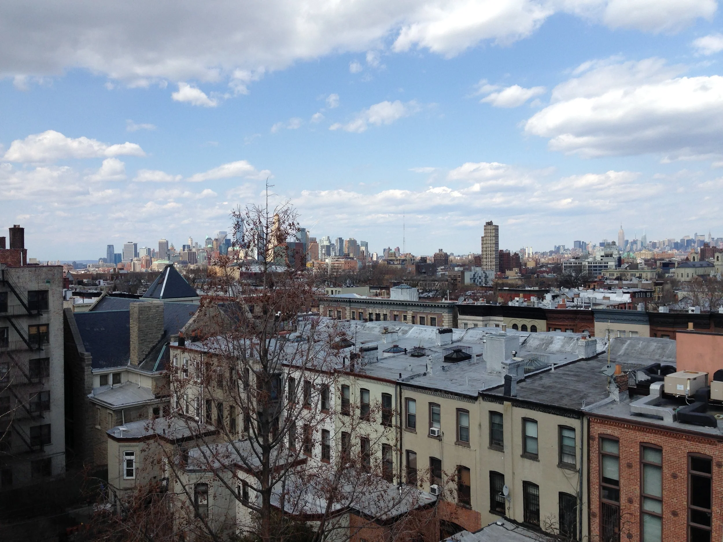 A view from the roof of my apartment in Prospect Heights, Brooklyn