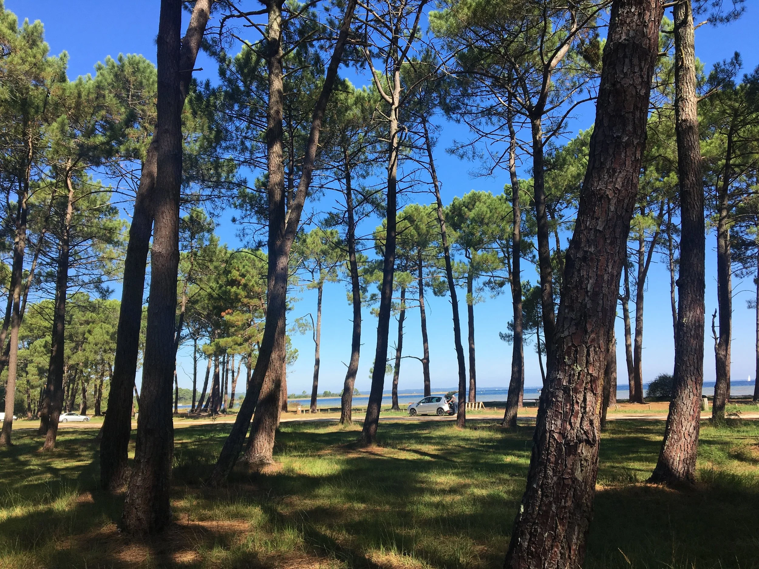 Biking around here is a fascinating view of a truly distinct region, a mix of massive pine forest, sandy beach, lakes and the Atlantic Ocean.