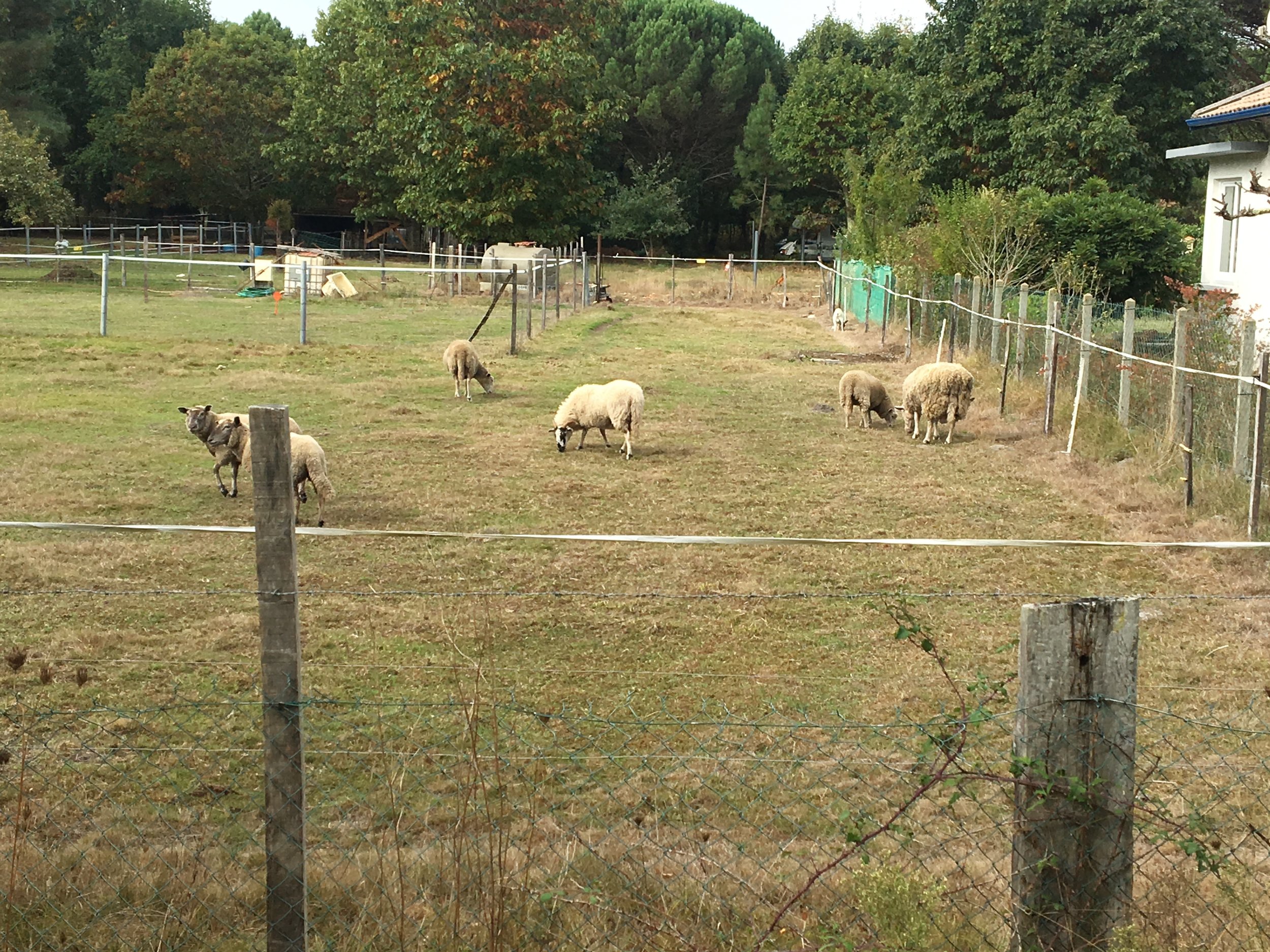 2018-10-14 12.17.10.jpg