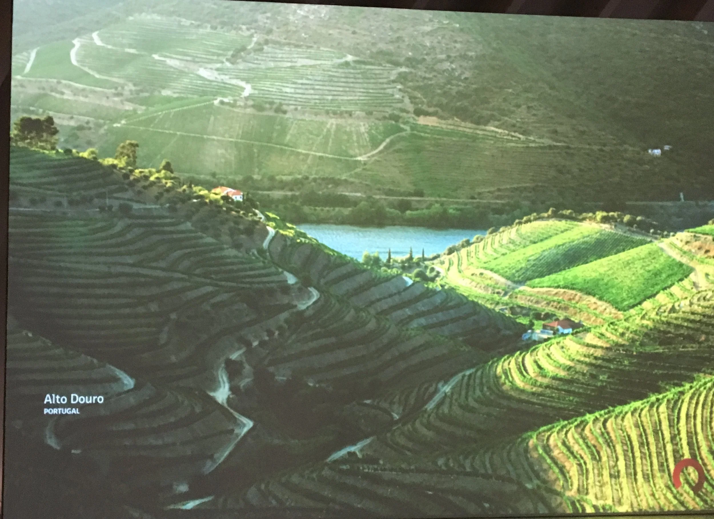 The “World of Wine” video
