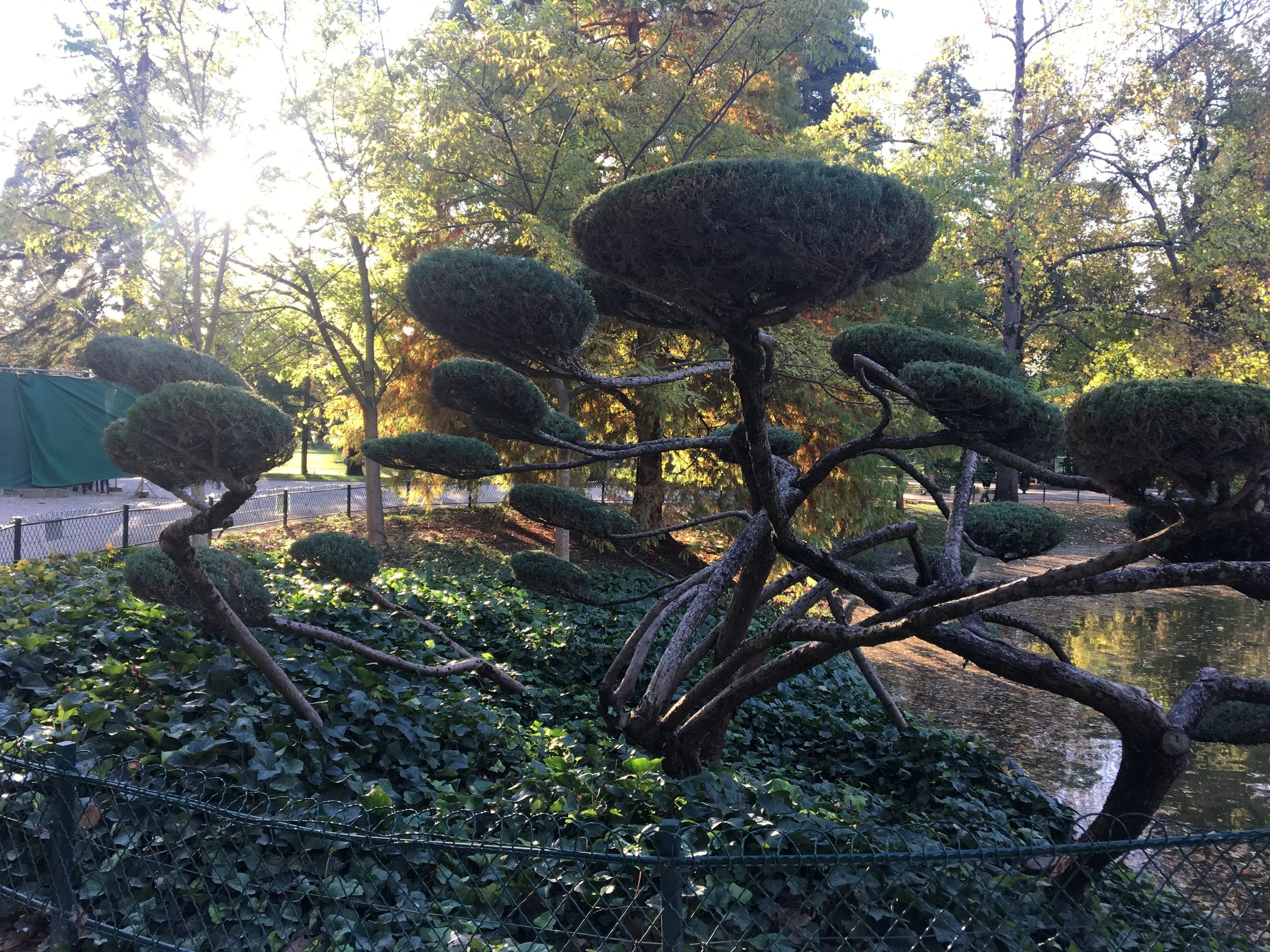 2018-10-23 17.49.54.jpg