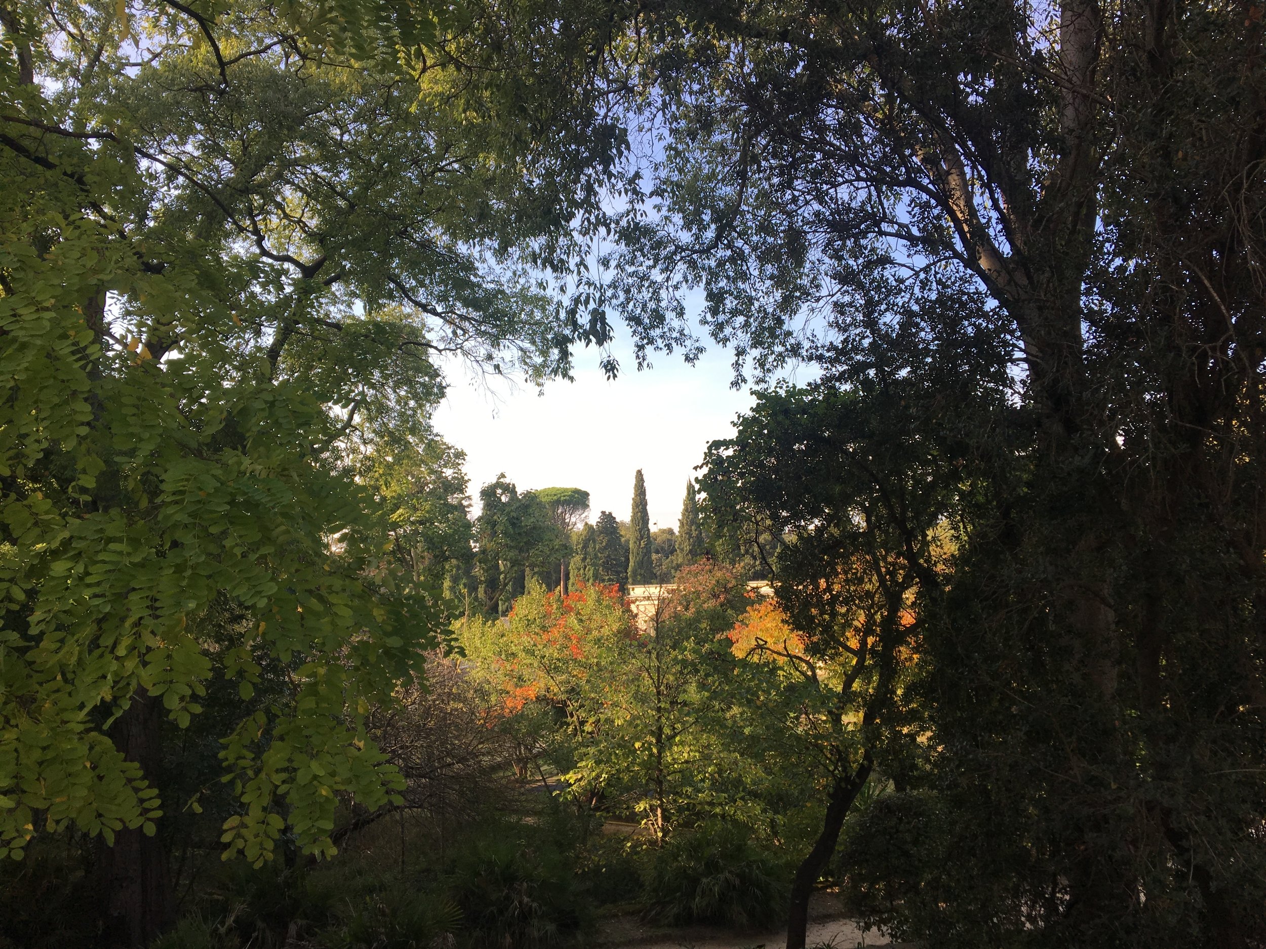 2018-10-26 16.24.13.jpg
