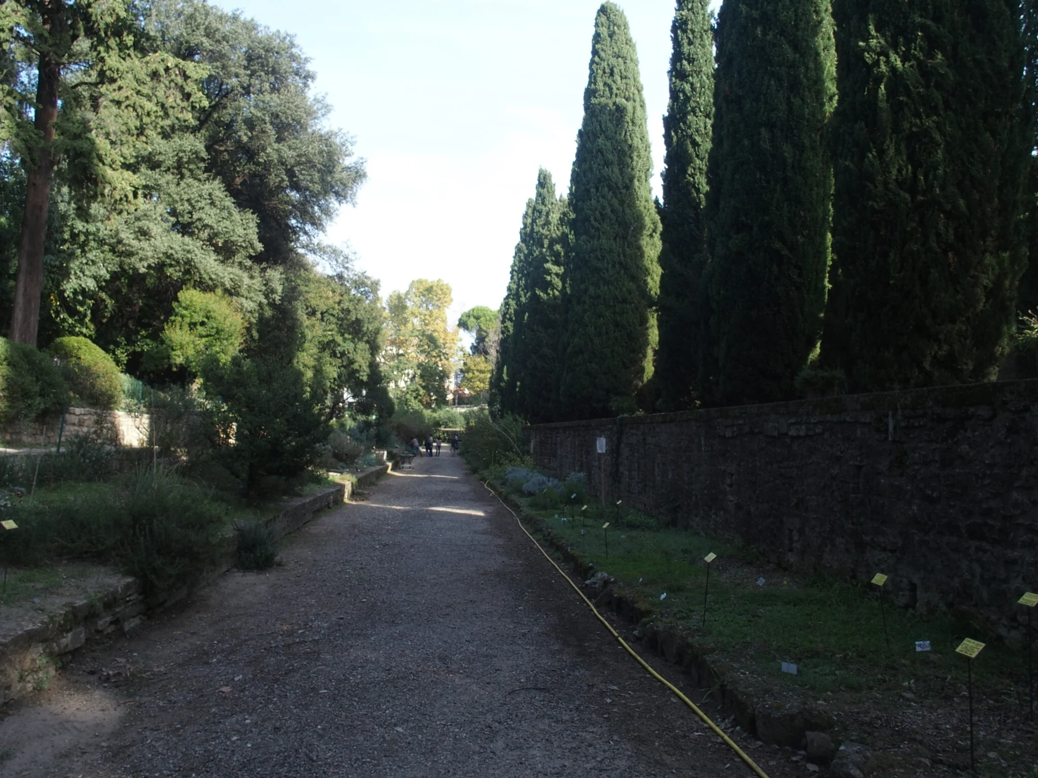 2018-10-27 03.59.06.jpg