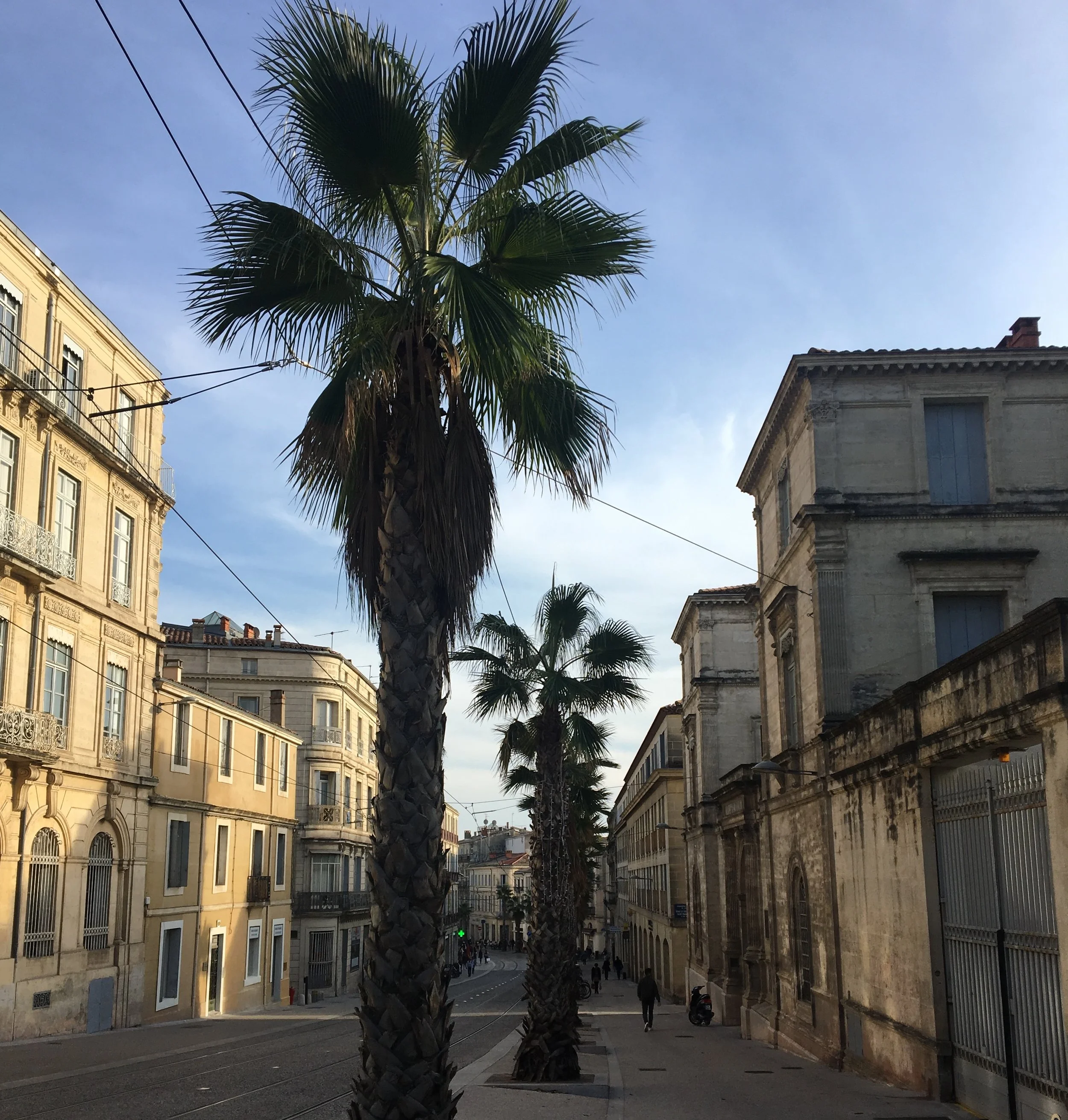 2018-10-26 16.50.37 copy.jpg