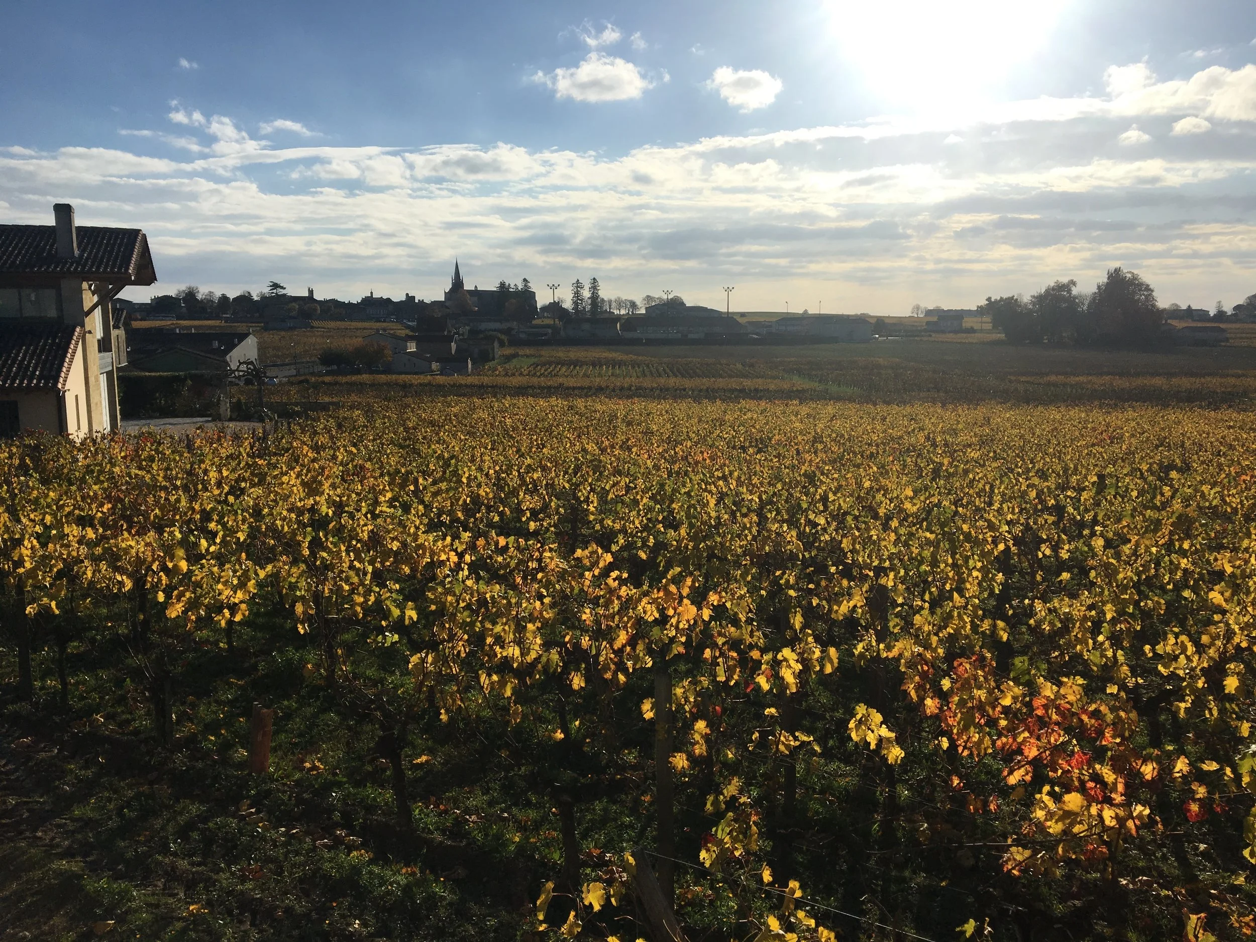 Saint-Émilion vineyards in the fall