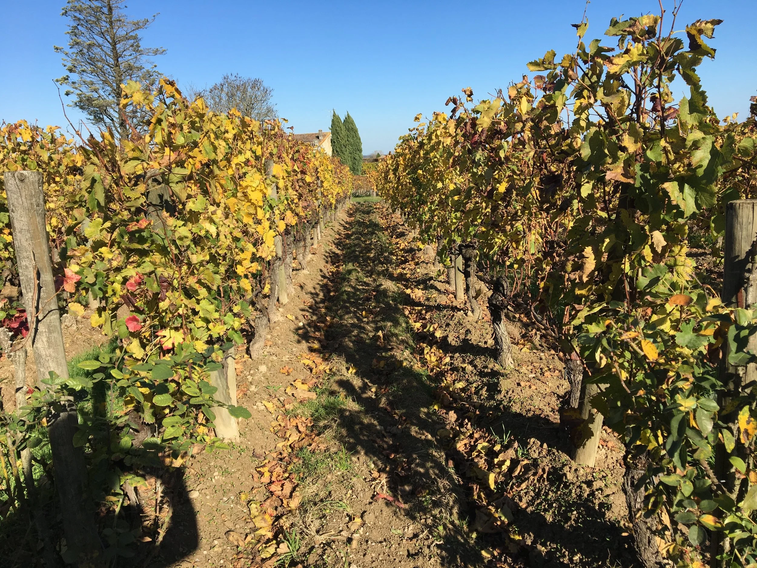 2018-11-18 11.51.24.jpg