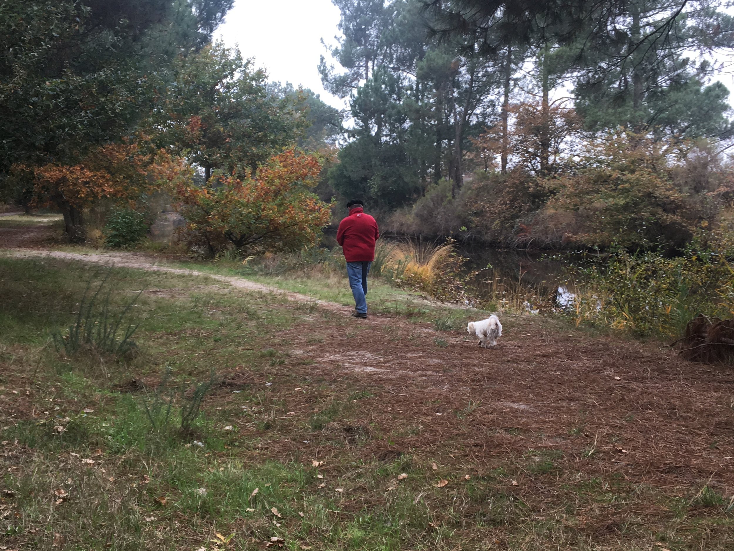 Another trail along a canal also near where I live, which is next to the bike path
