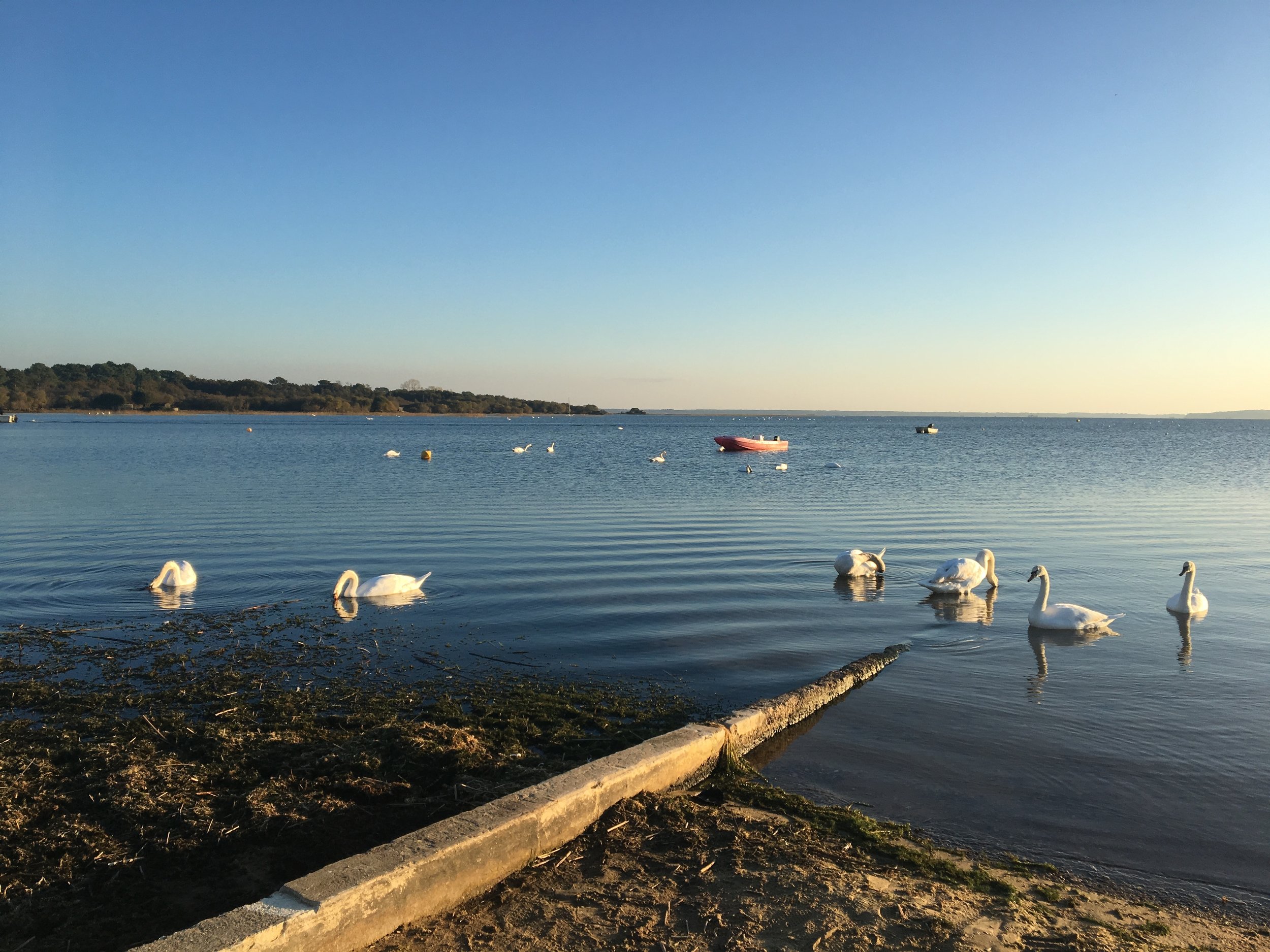 Lac de Biscarrosse