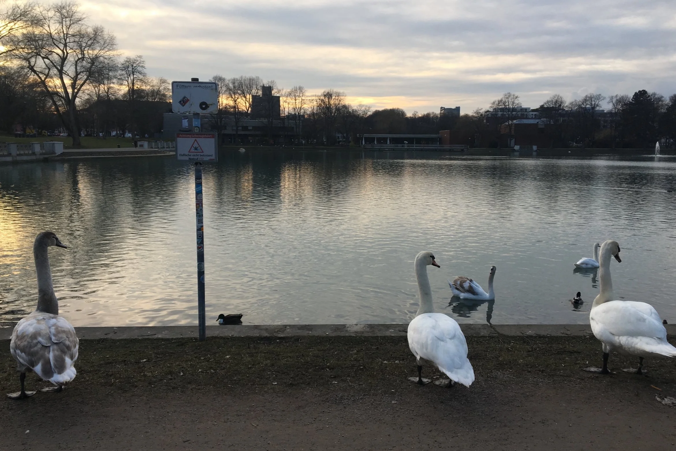 2019-02-20%2B17.06.48.jpg