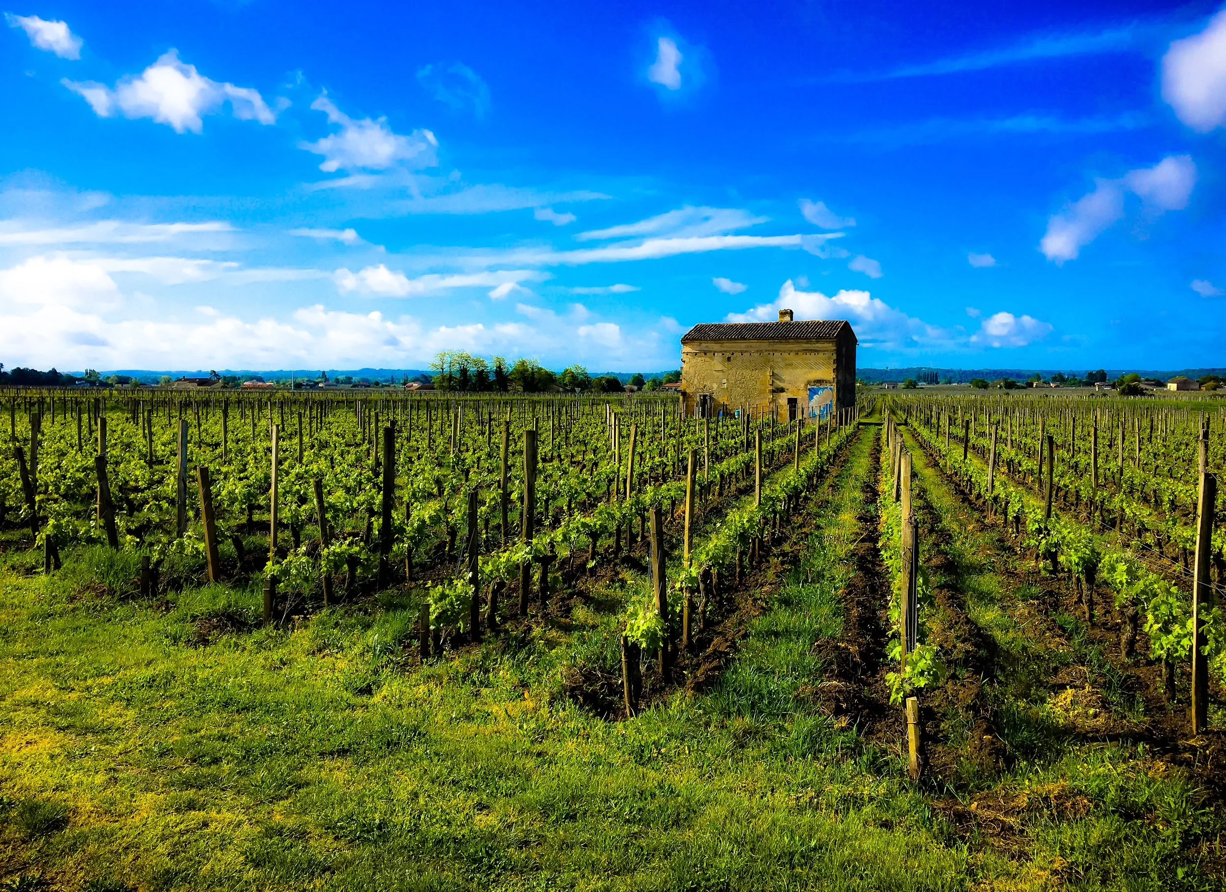 Photo 24-04-2019 10 17 44.jpg