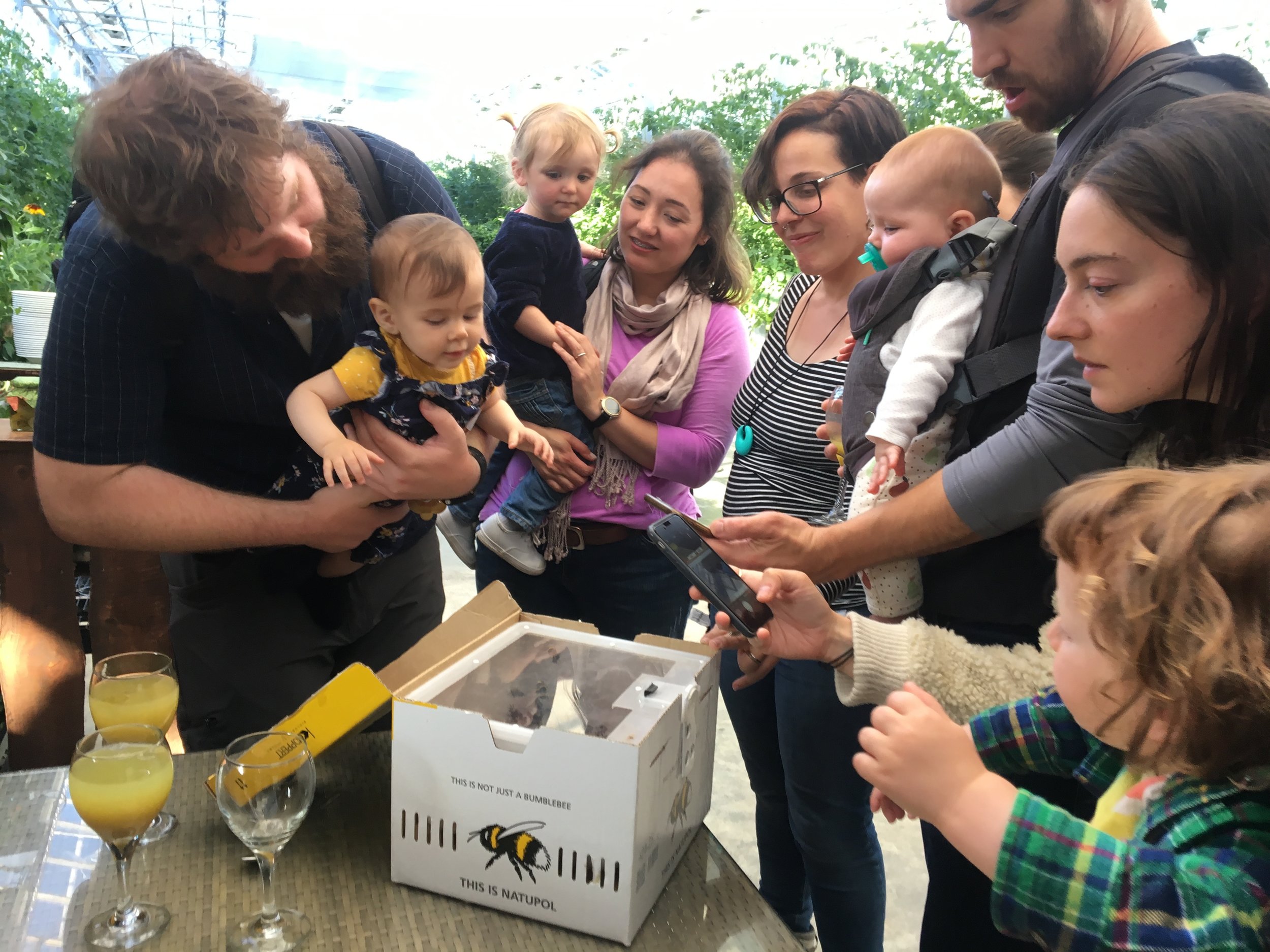 A fun sight for the kids at the wedding — a box of bees!