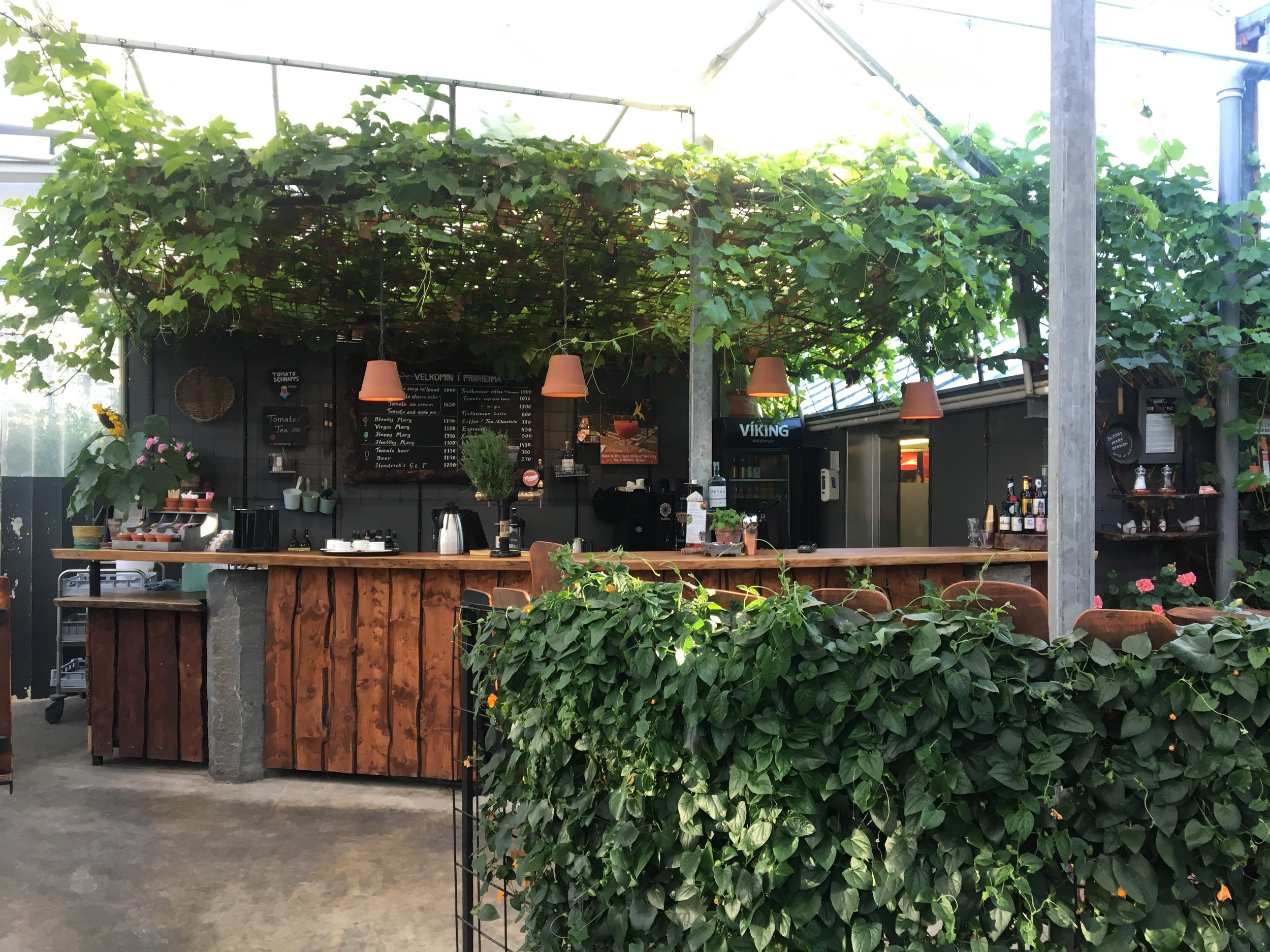 2019-07-05 20.47.39.jpg