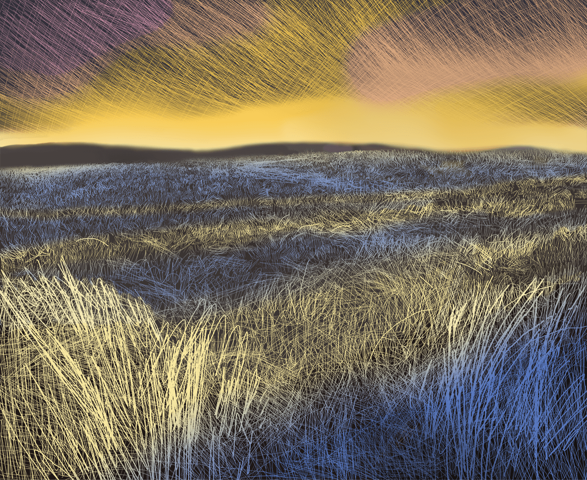 Peter Adriel. Grassland. 2018. Photoshop.