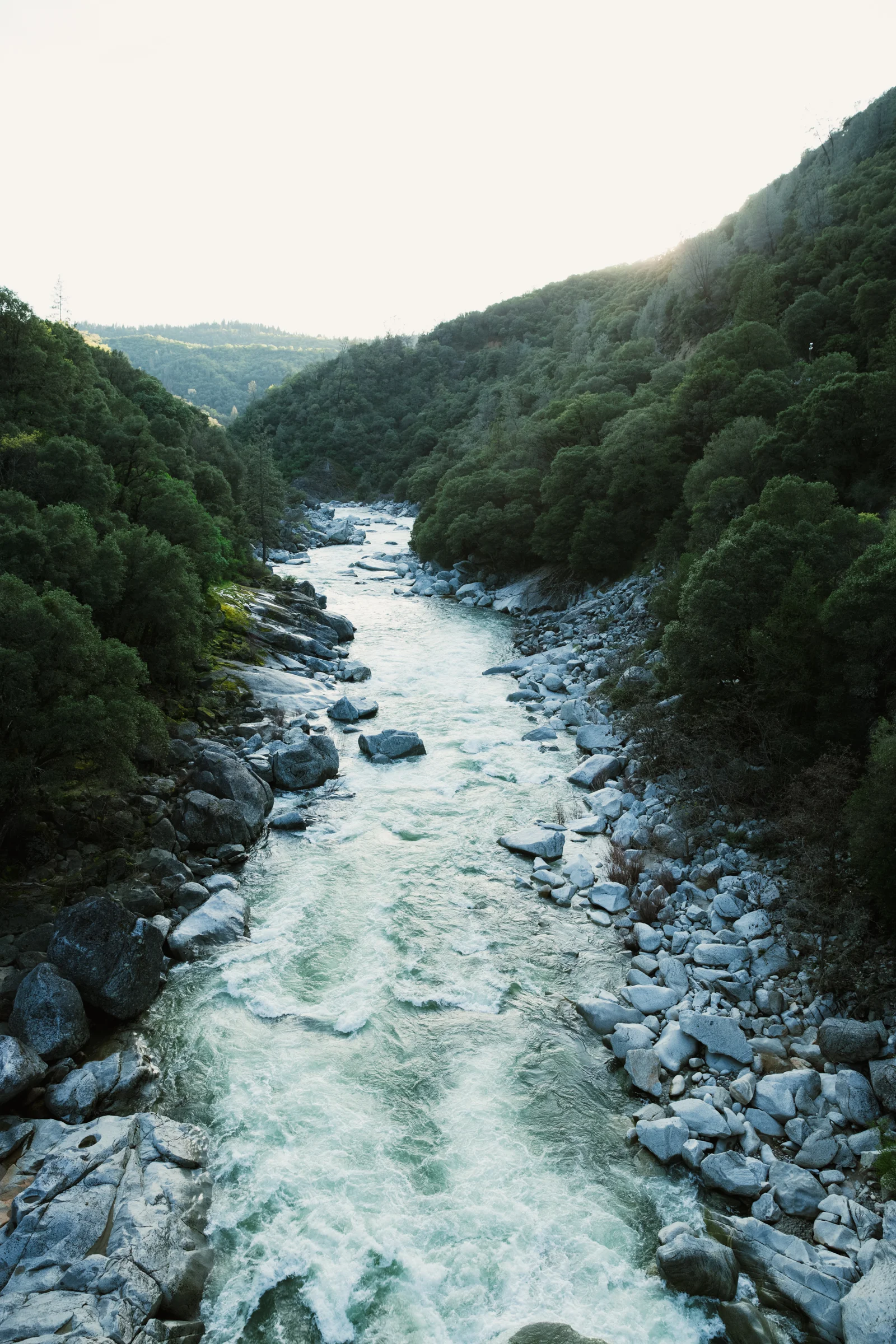 Yuba River_20160324_MG_7913.jpg