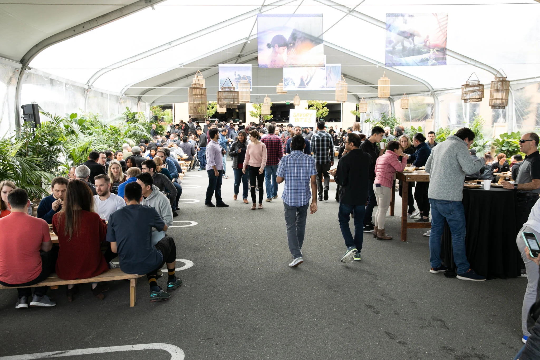 Foxtail at Netflix_20190131_MG_1773.jpg