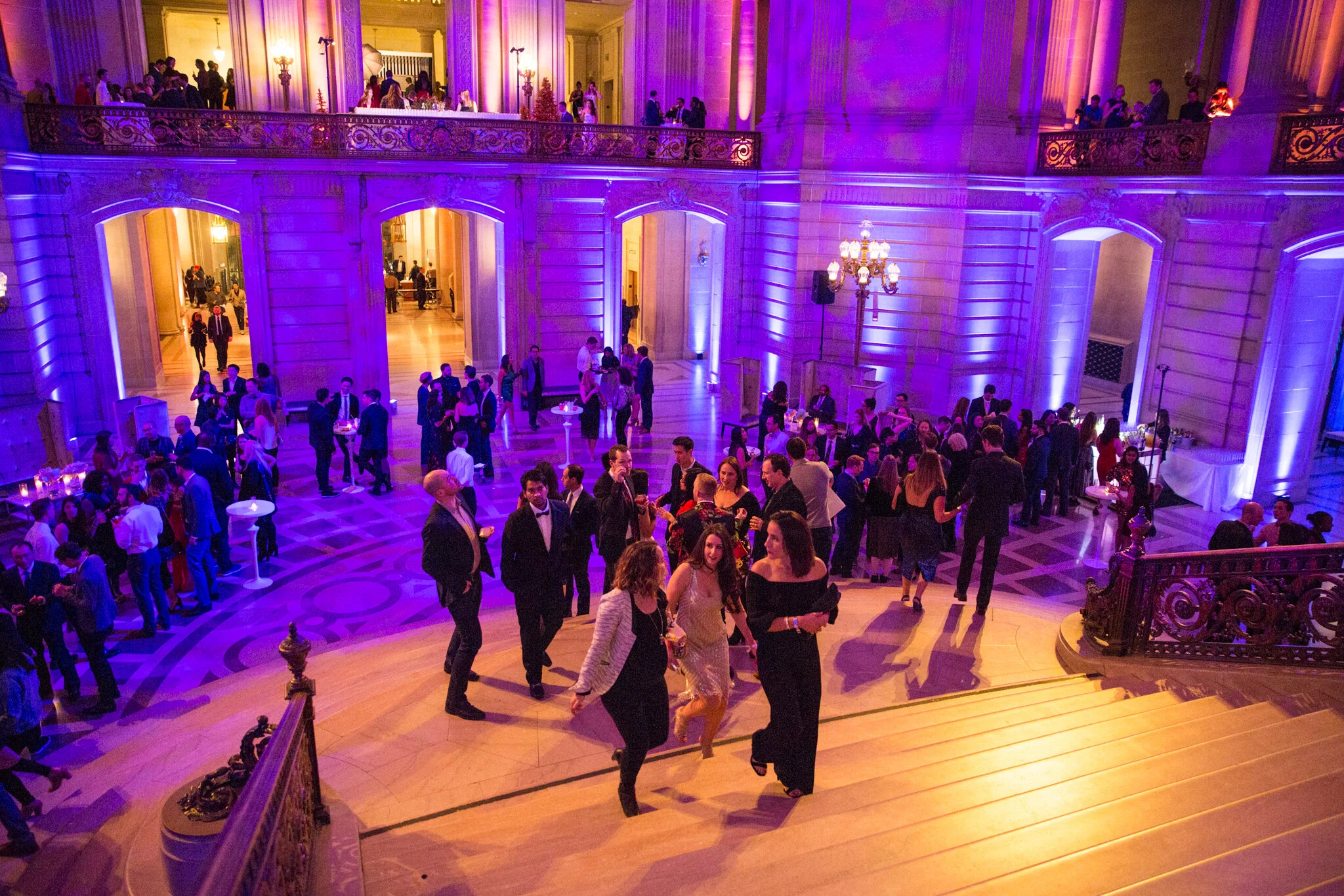 Foxtail_Google at City Hall_20171214_MG_7591.jpg