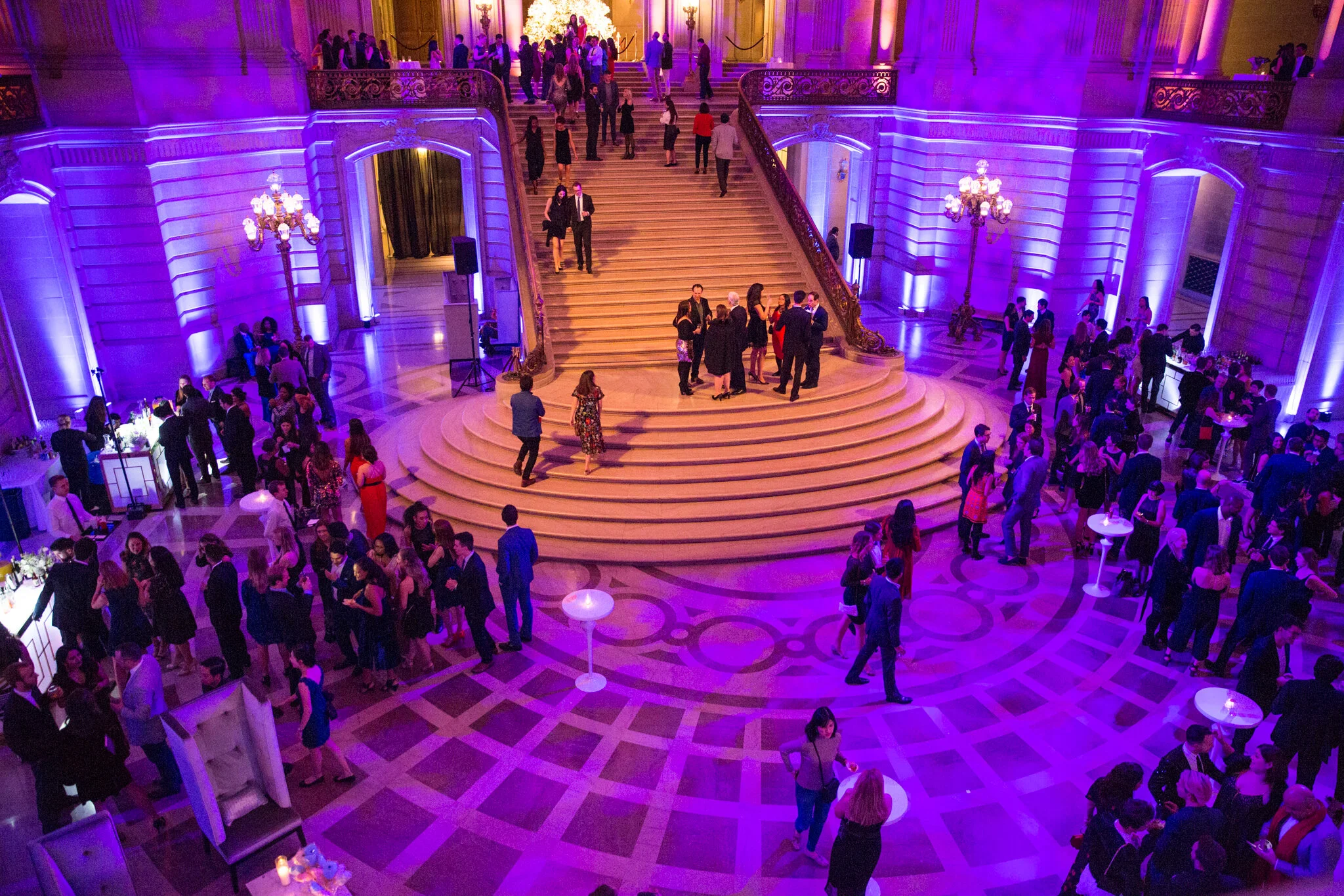 Foxtail_Google at City Hall_20171214_MG_7614.jpg