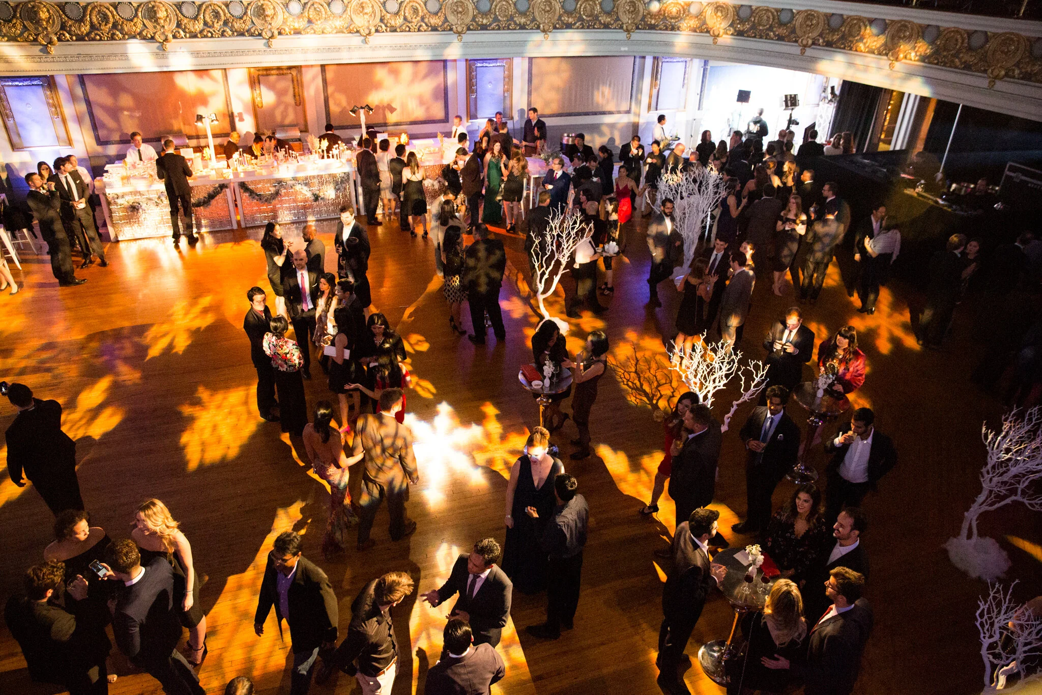 Foxtail_Google at Regency Ballroom_20171209_MG_6653.jpg