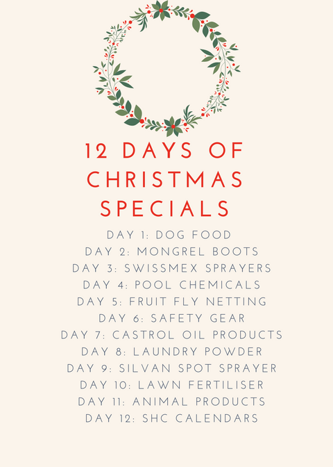12 Days of christmas.png