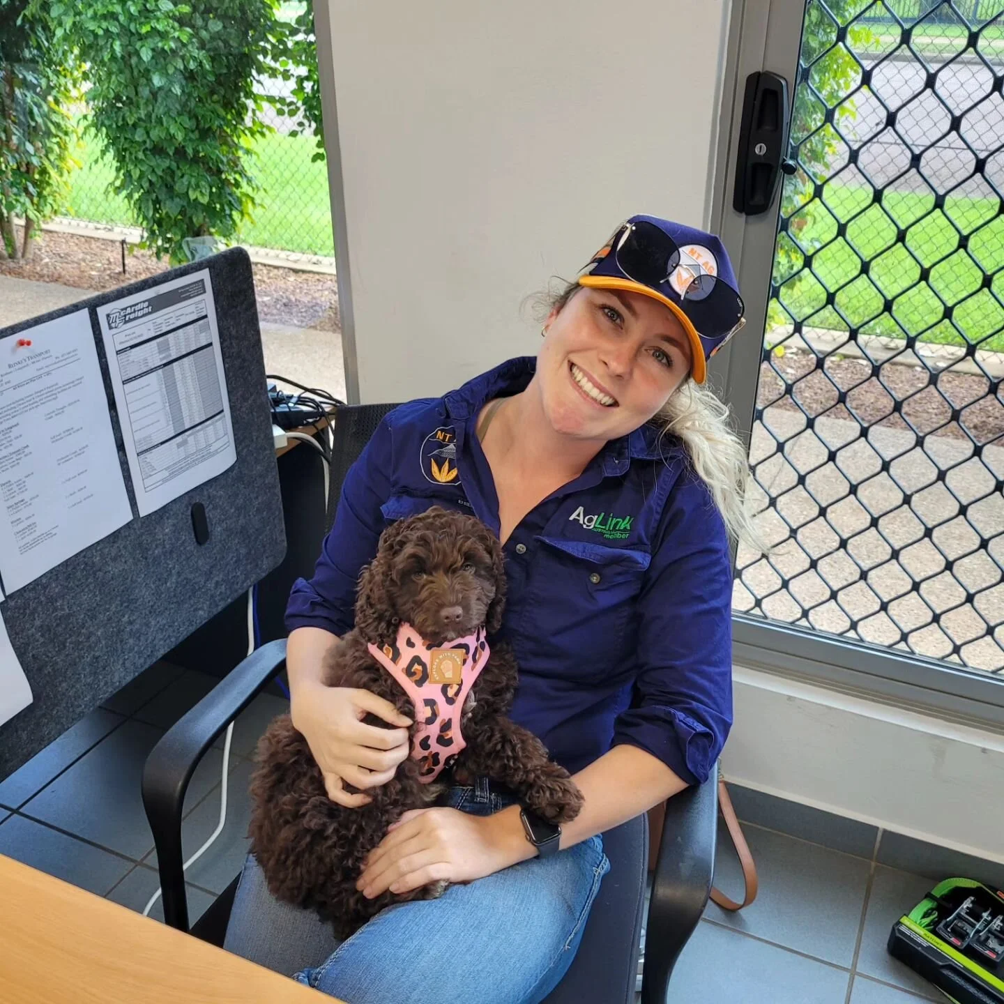 The team is pretty excited to welcome our newest member, Head of Security &amp; Barketing, Dolly 💖🐕 

You can find Dolly behind the counter, asleep on the job!