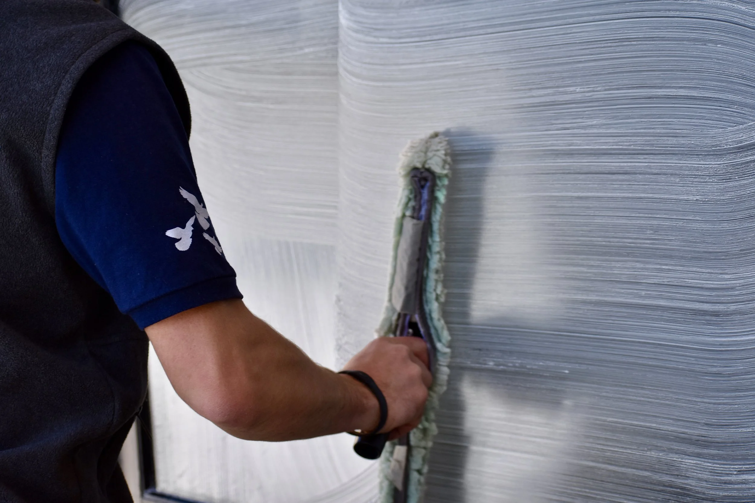 Birds Beware Window Washing