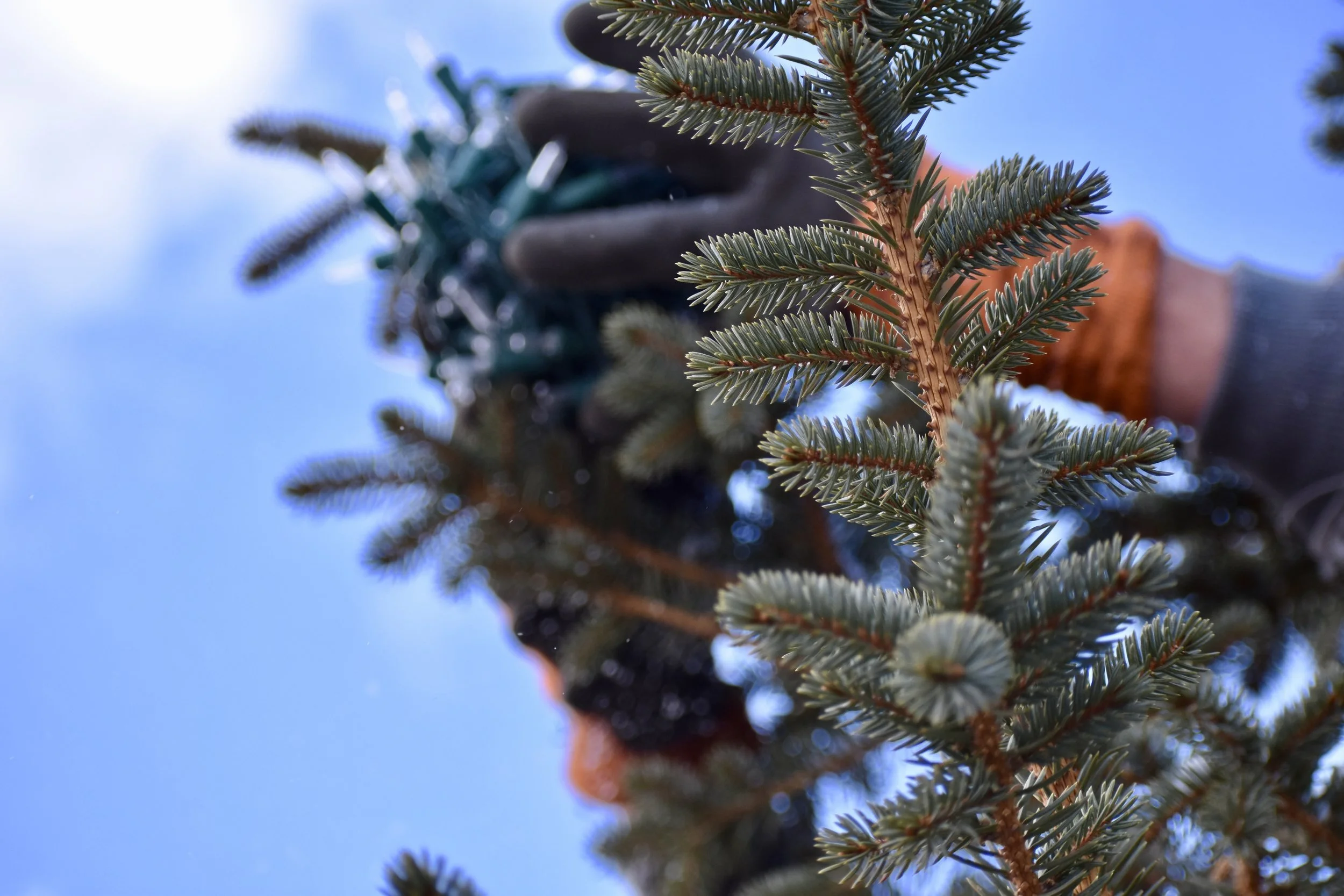 Colorado Christmas Illuminations